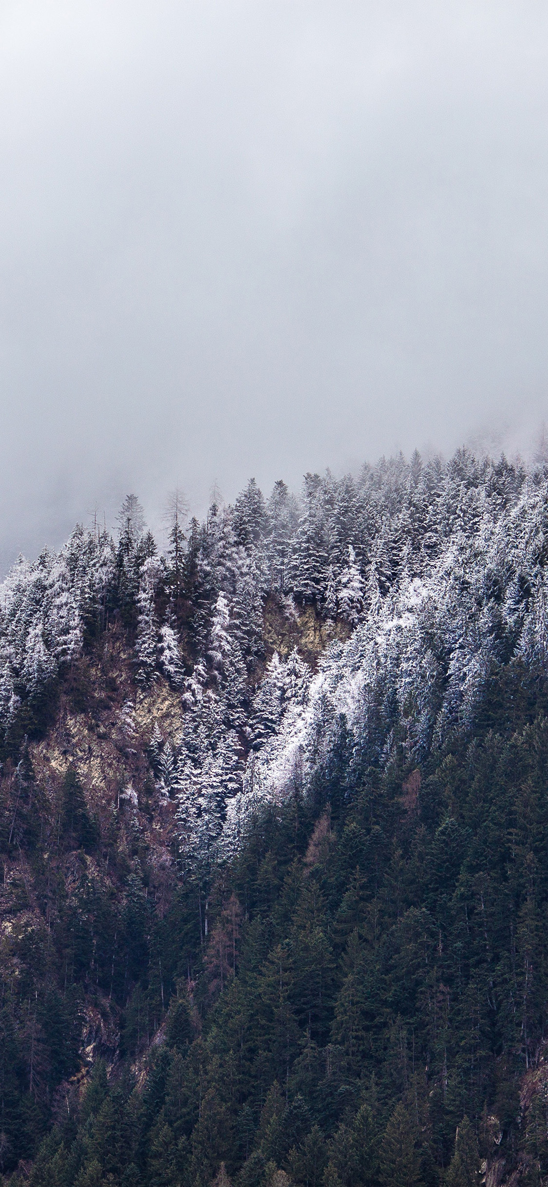 iPhone X wallpaper. cold mountain winter tree white snow nature