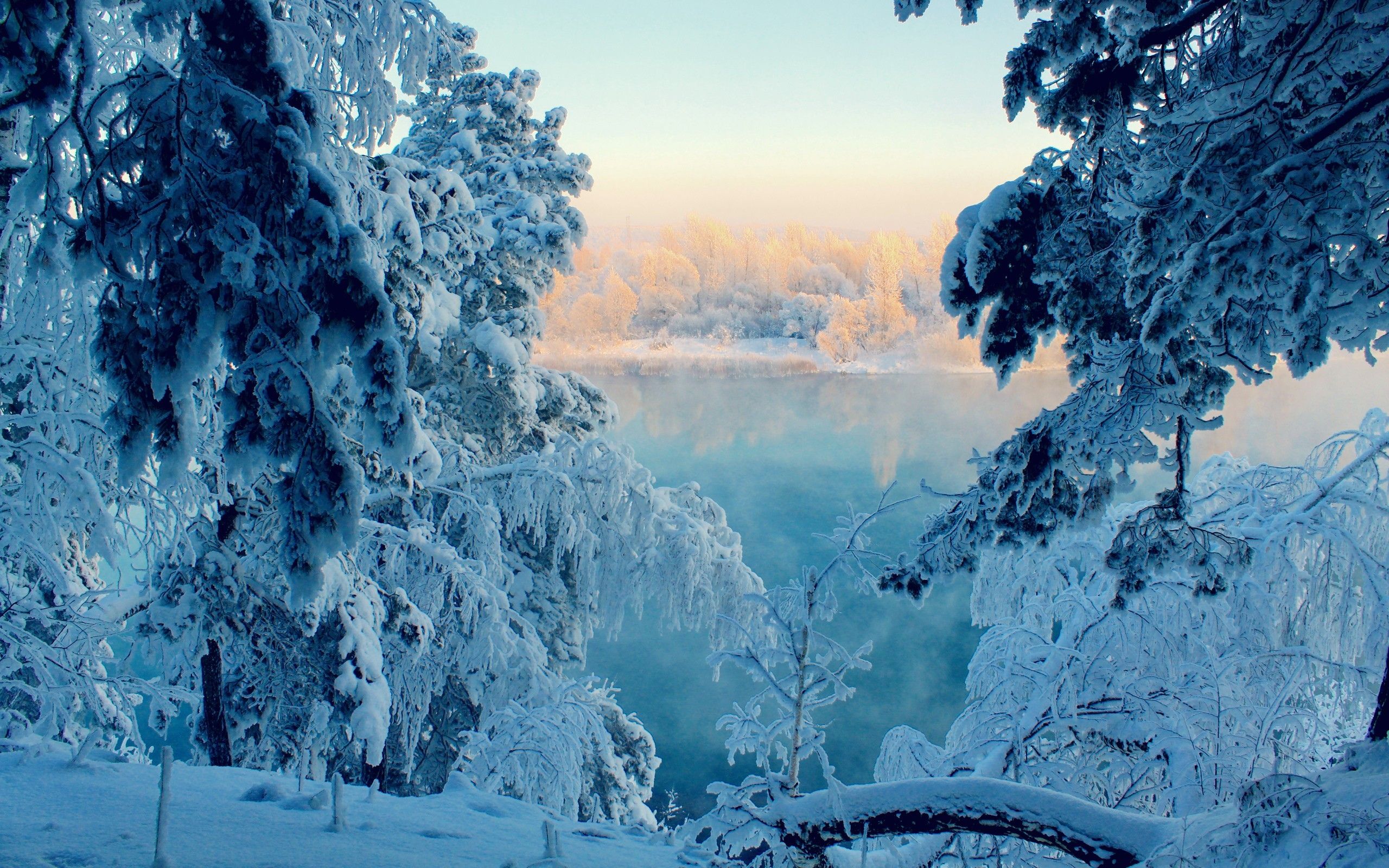 Frozen Winter Wallpaper