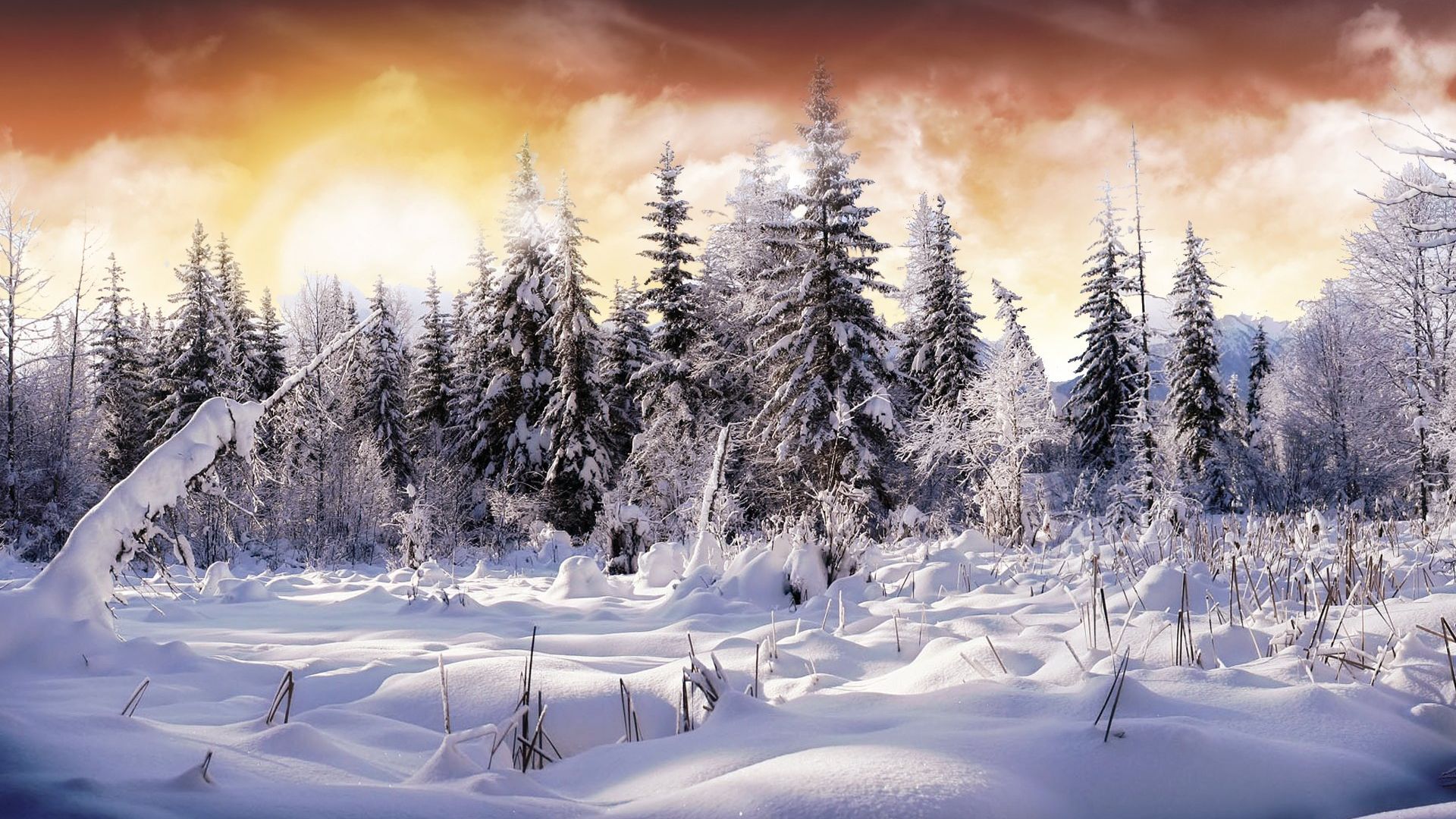 Winter 4k Wallpaper Ultra 4k Winter Background Download