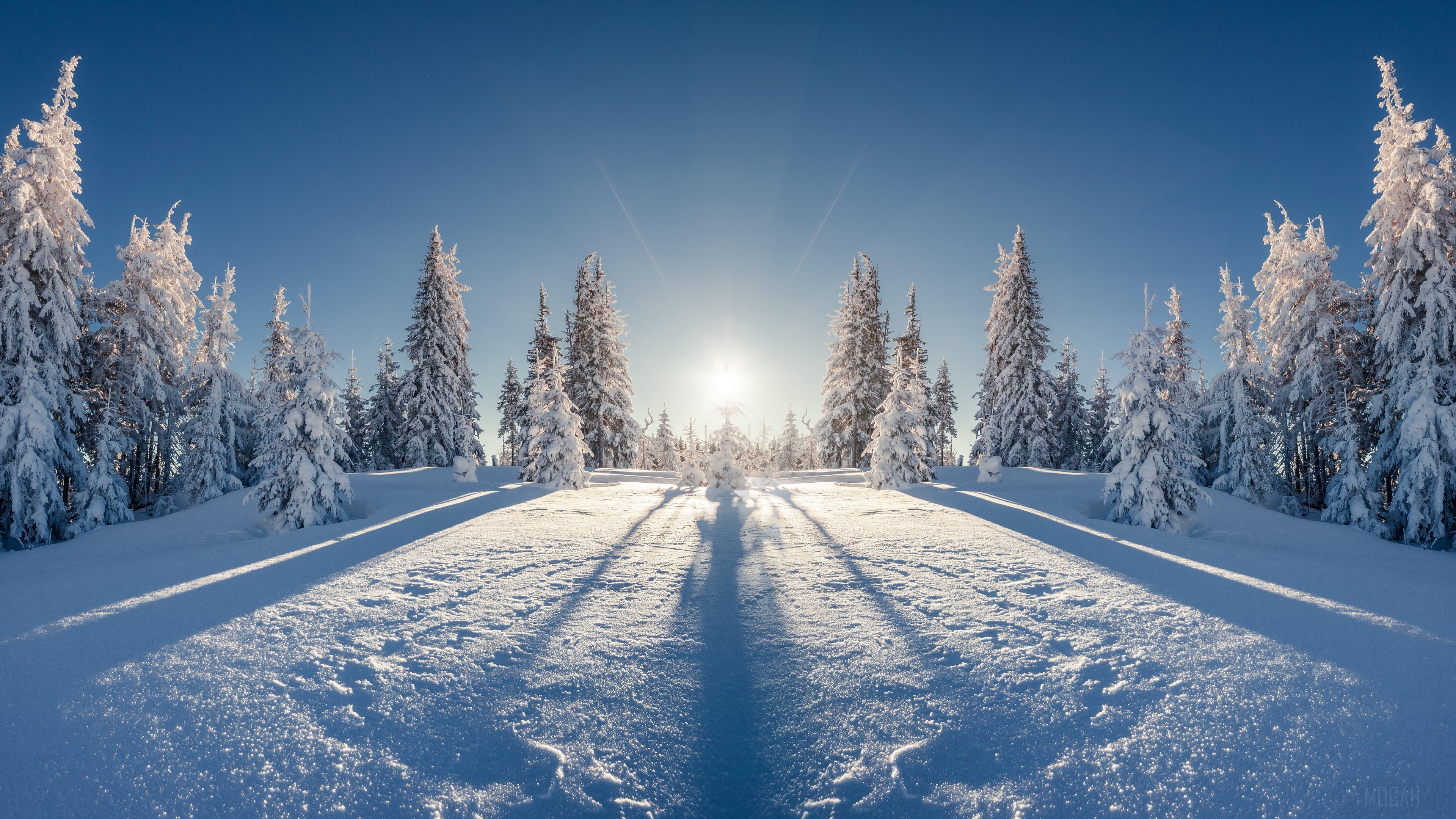 Nature, Snow, Sun, Tree, Winter 4k Gallery HD Wallpaper
