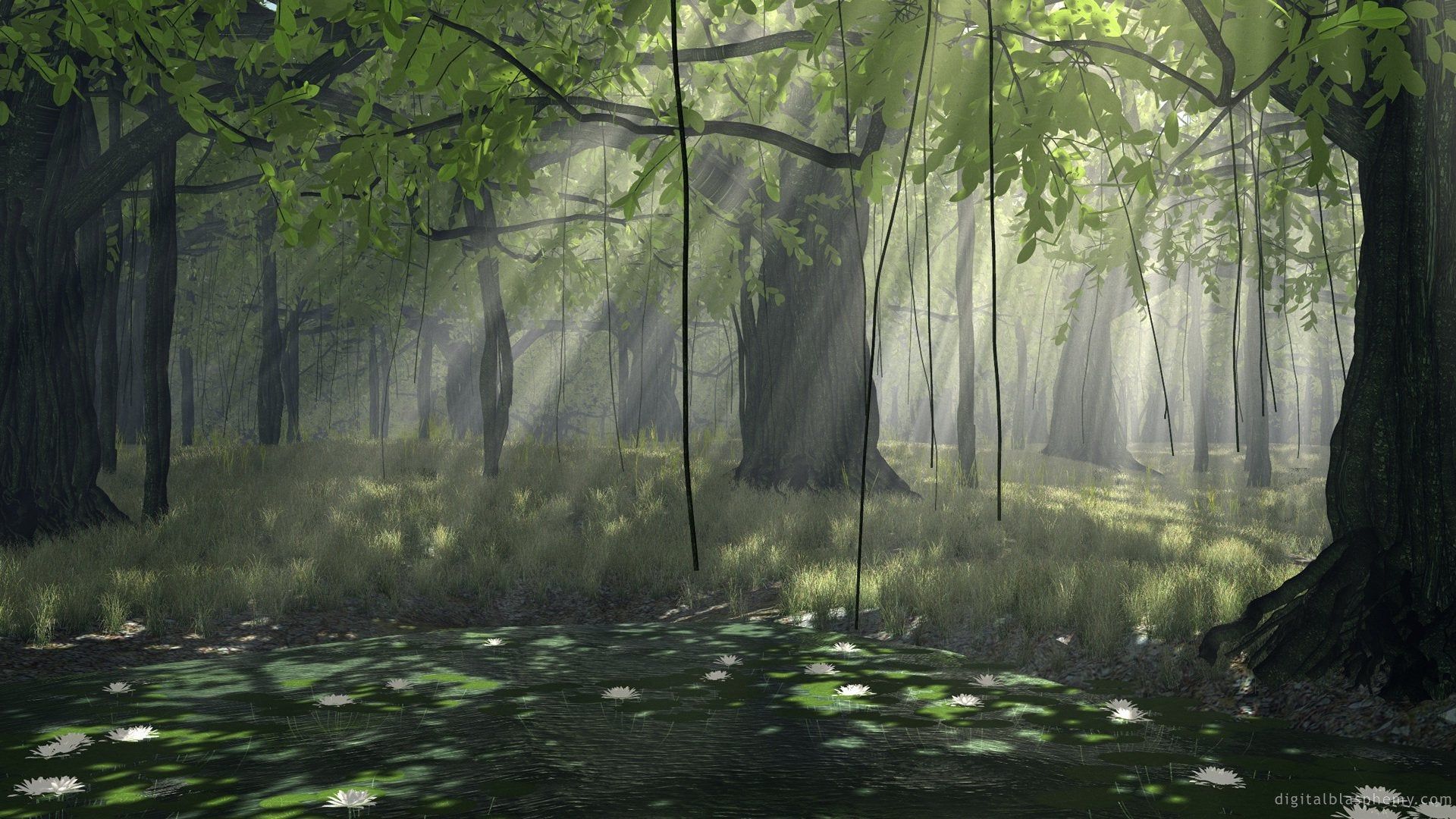 3D Forest Wallpapers - Wallpaper Cave