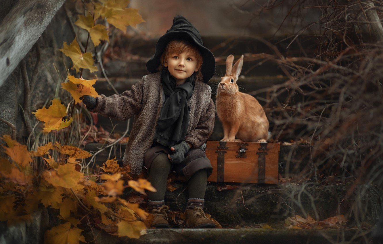 Autumn Rabbit Wallpapers - Wallpaper Cave