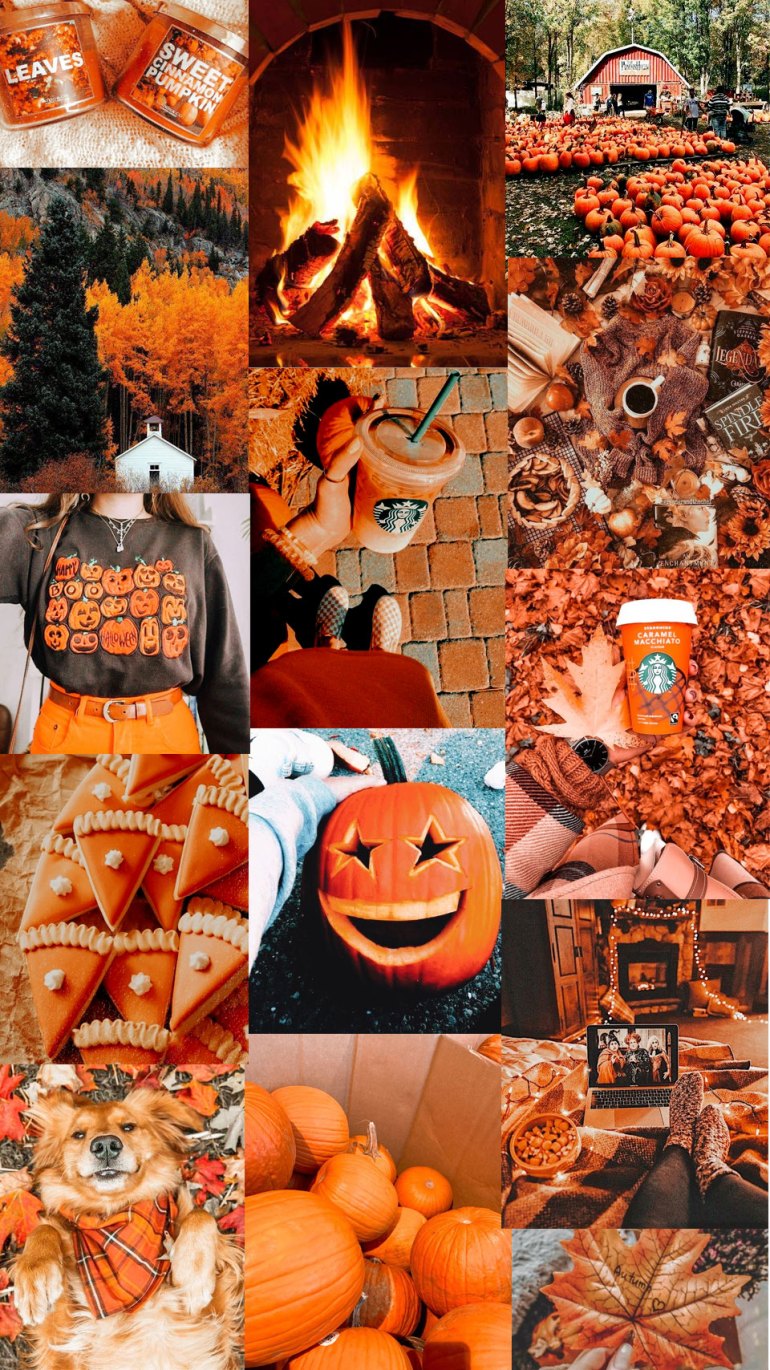 Autumn Collage Wallpaper, Fall Collage Wallpaper