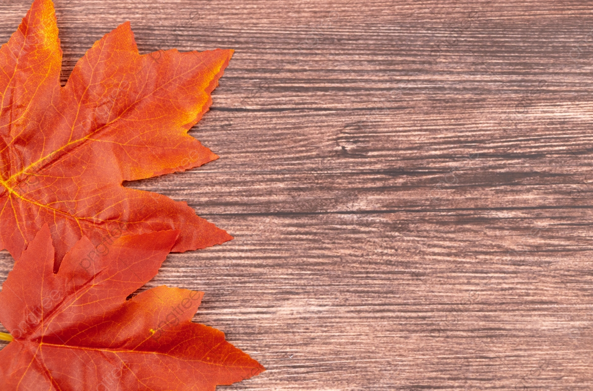 Autumn Red Leaves With Blackboard Wallpaper Background, Fall, Maple Leaf, Leaves Background Image for Free Download