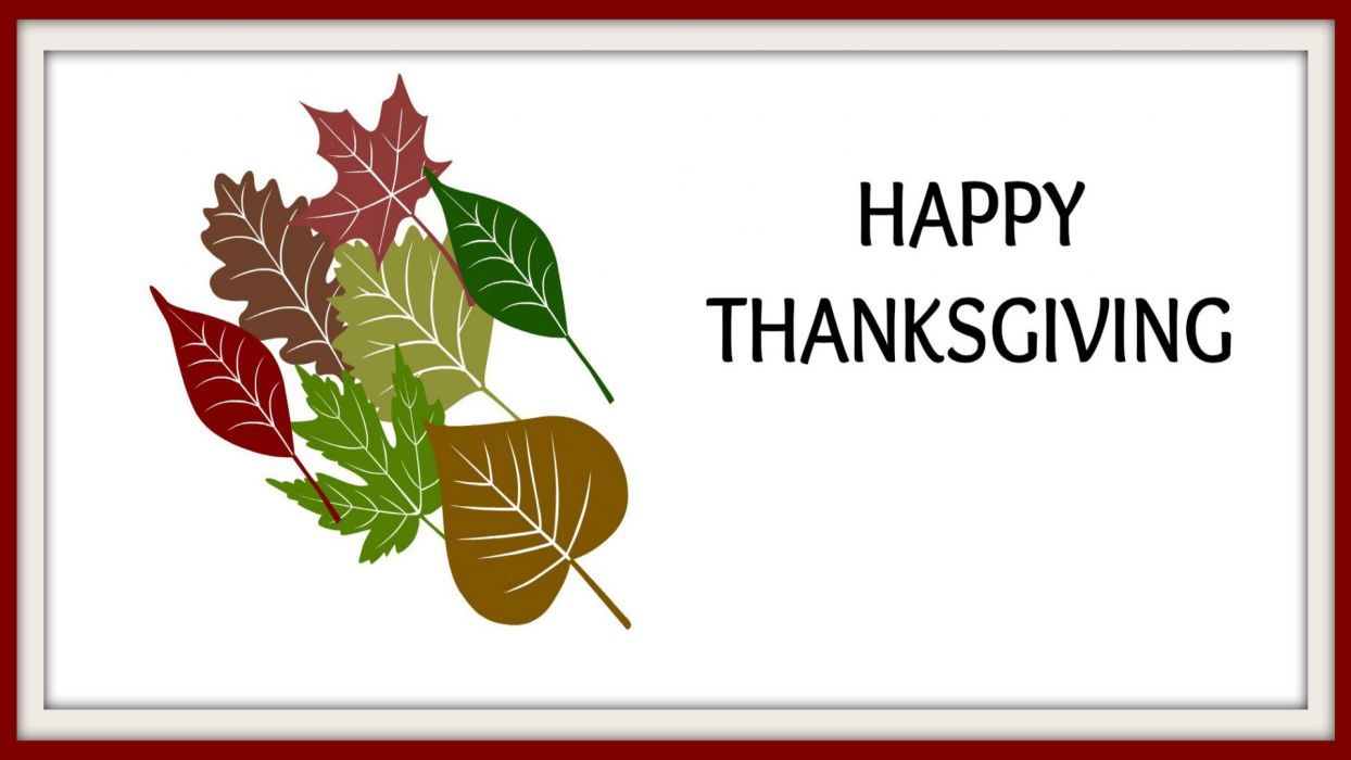 THANKSGIVING holiday autumn turkey wallpaperx1080