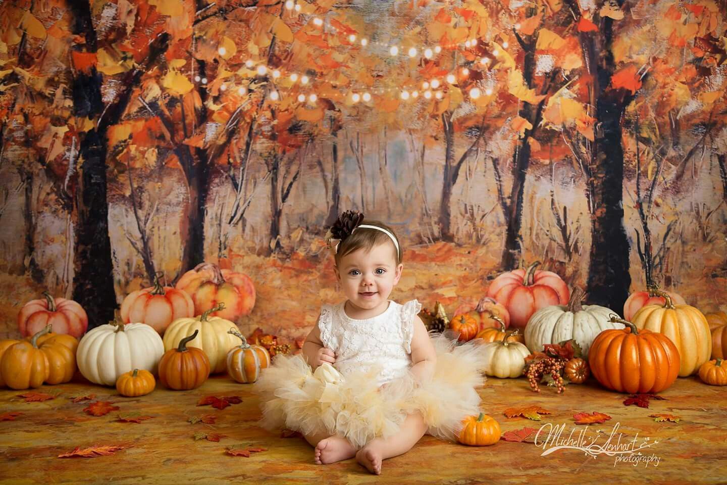 Fall Baby Dream backdrops. Fall baby photo, Fall backdrops, Photohoot backdrops