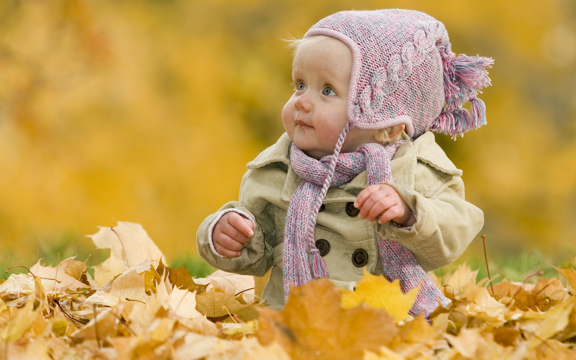 Autumn Child, High Definition, High Quality, Widescreen