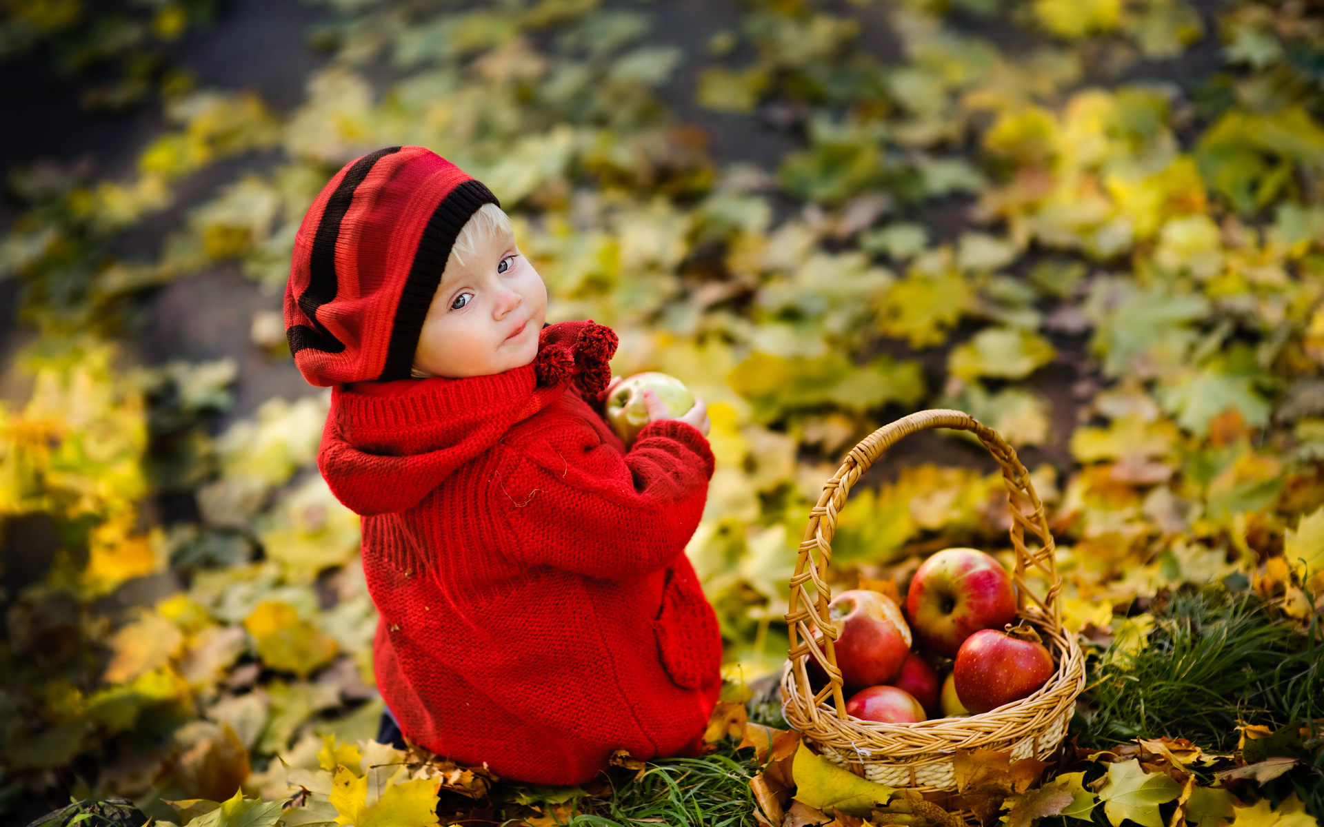 Baby boy Collecting Apples