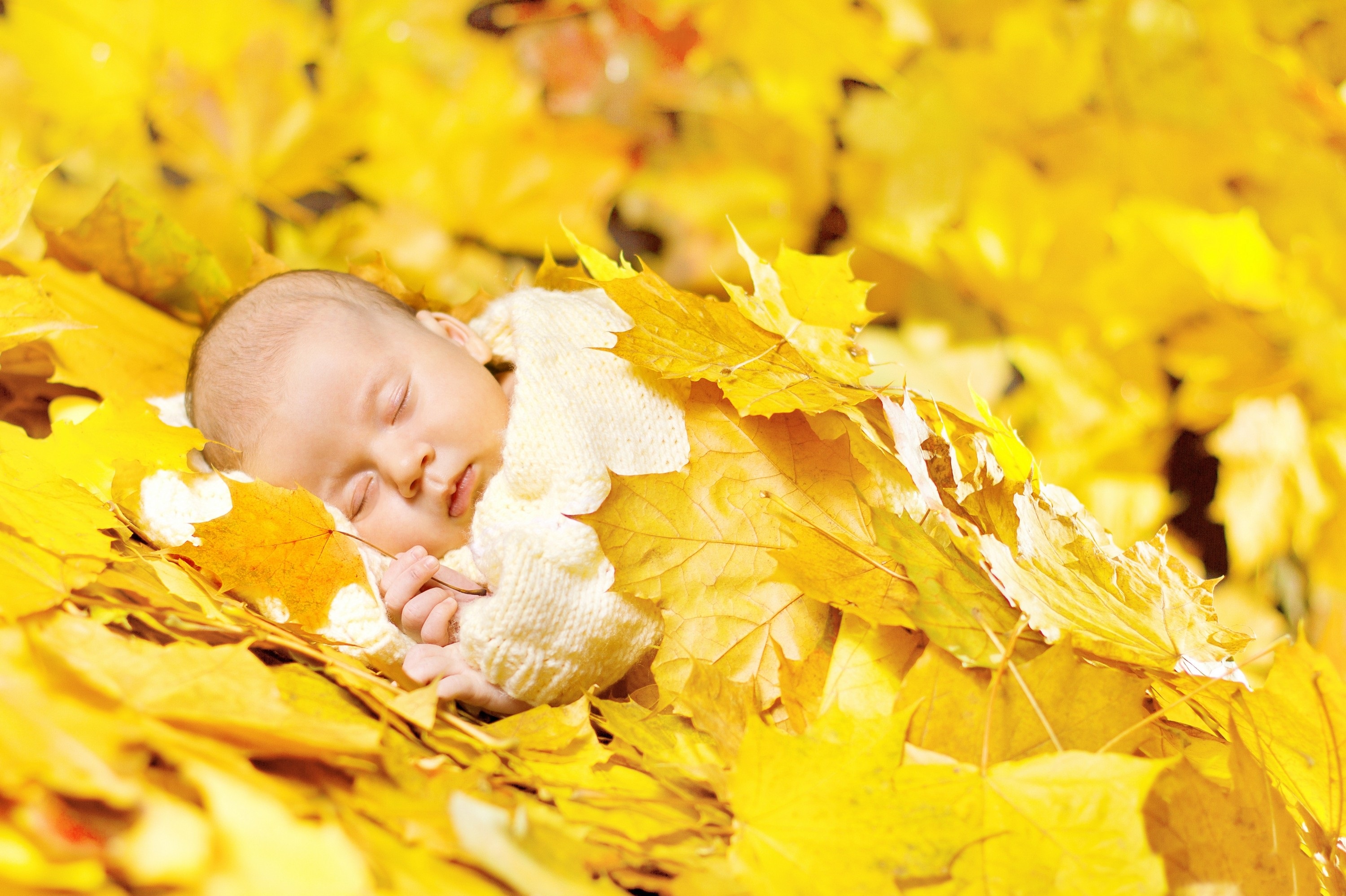 Download autumn baby laptop wallpaper for your mobile cell phone