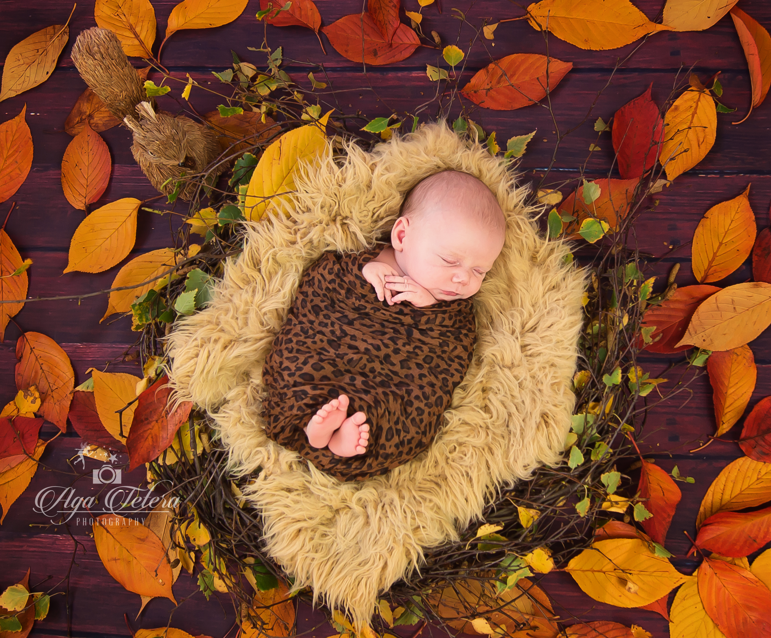 Full HD Cute Baby in Autumn Gallery HD Wallpaper