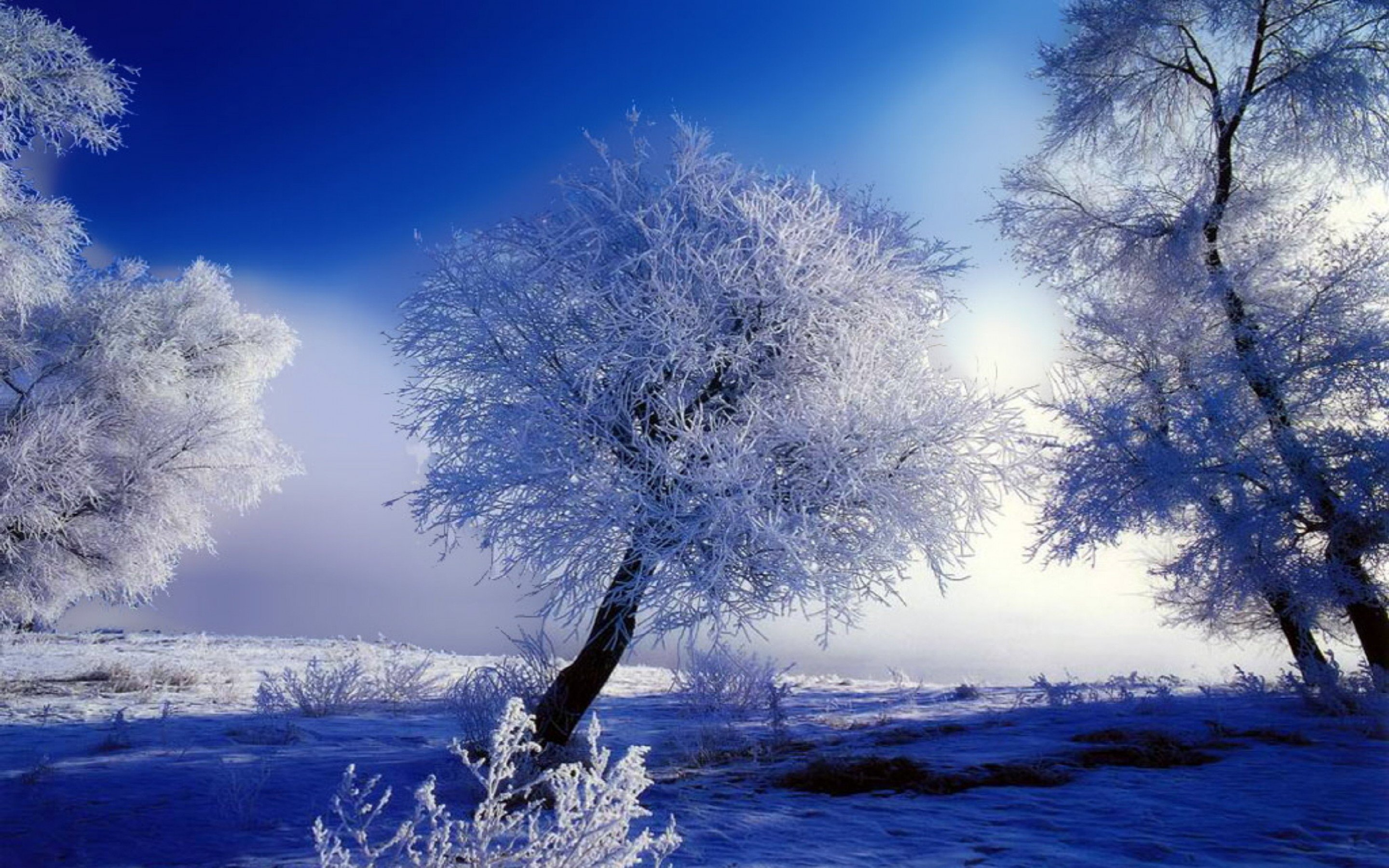 Beautiful Winter Snow HD wallpaper