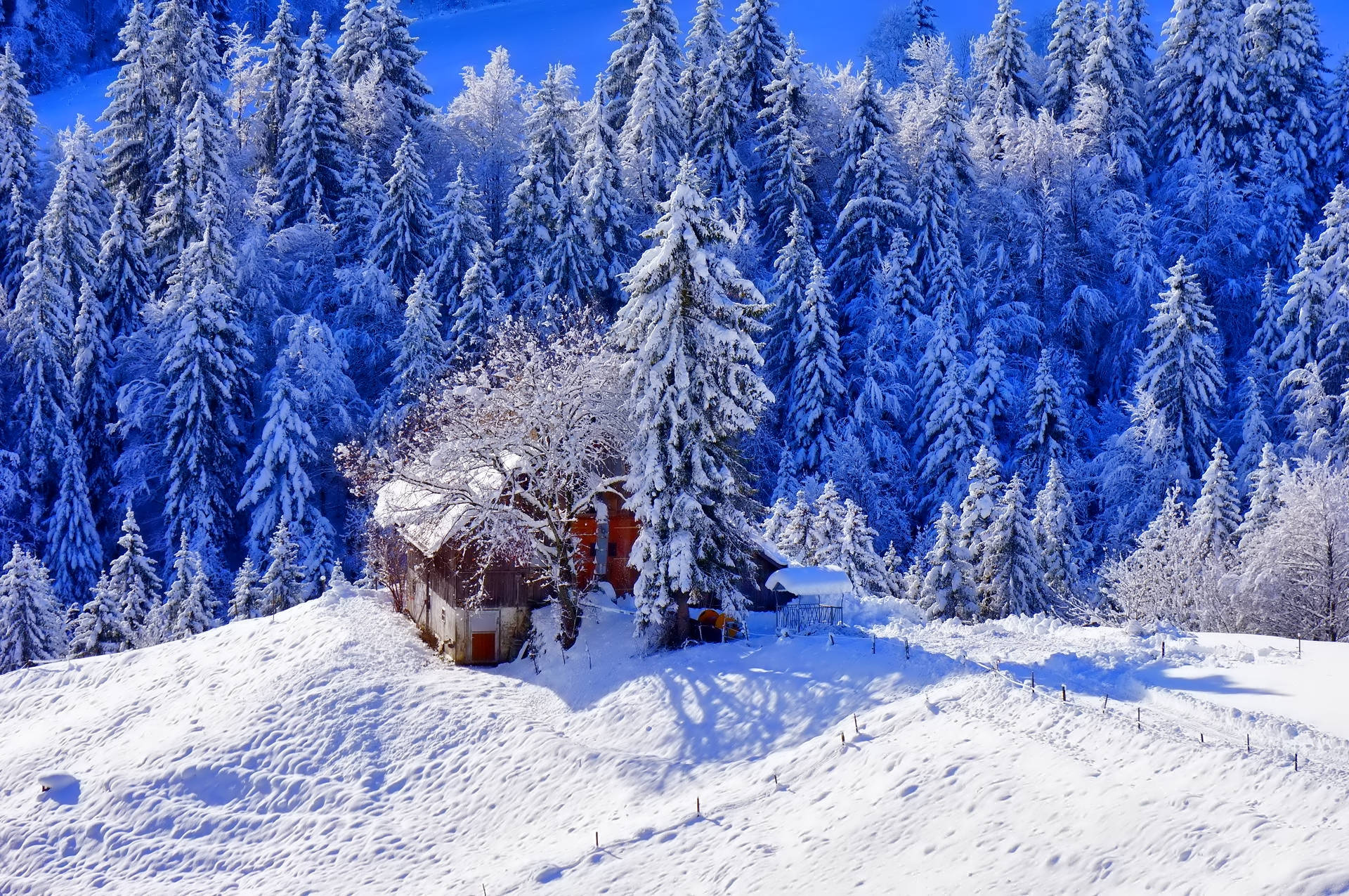 Download Winter House On Snow Wallpaper