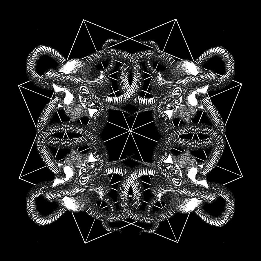 Hermetica Moderna Intertwined Digital Art by Andrej Kapcar. Fine Art America