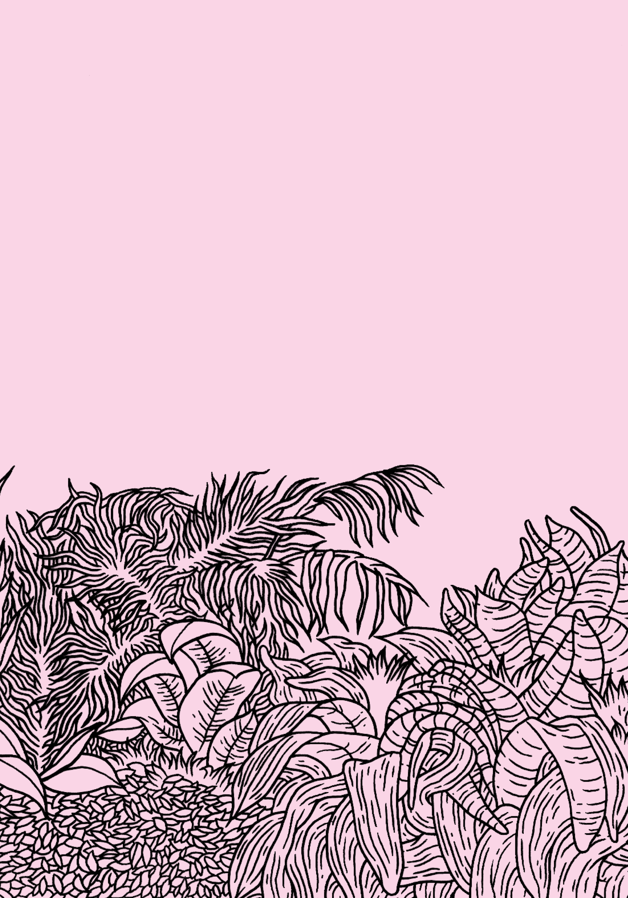 Nieves · Chloe Feinberg