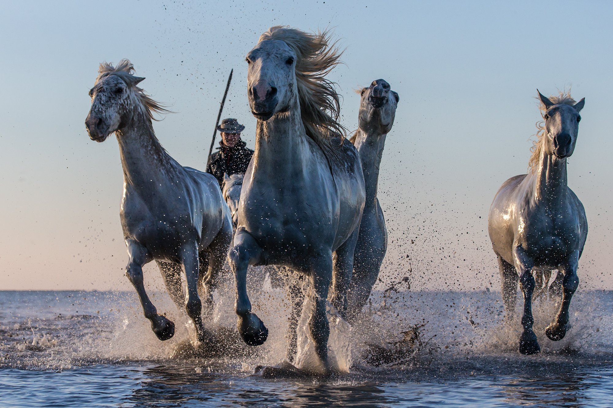 horse, Drops, Ocean, Sea, Lake, River, Western, Cowboy, People Wallpaper HD / Desktop and Mobile Background