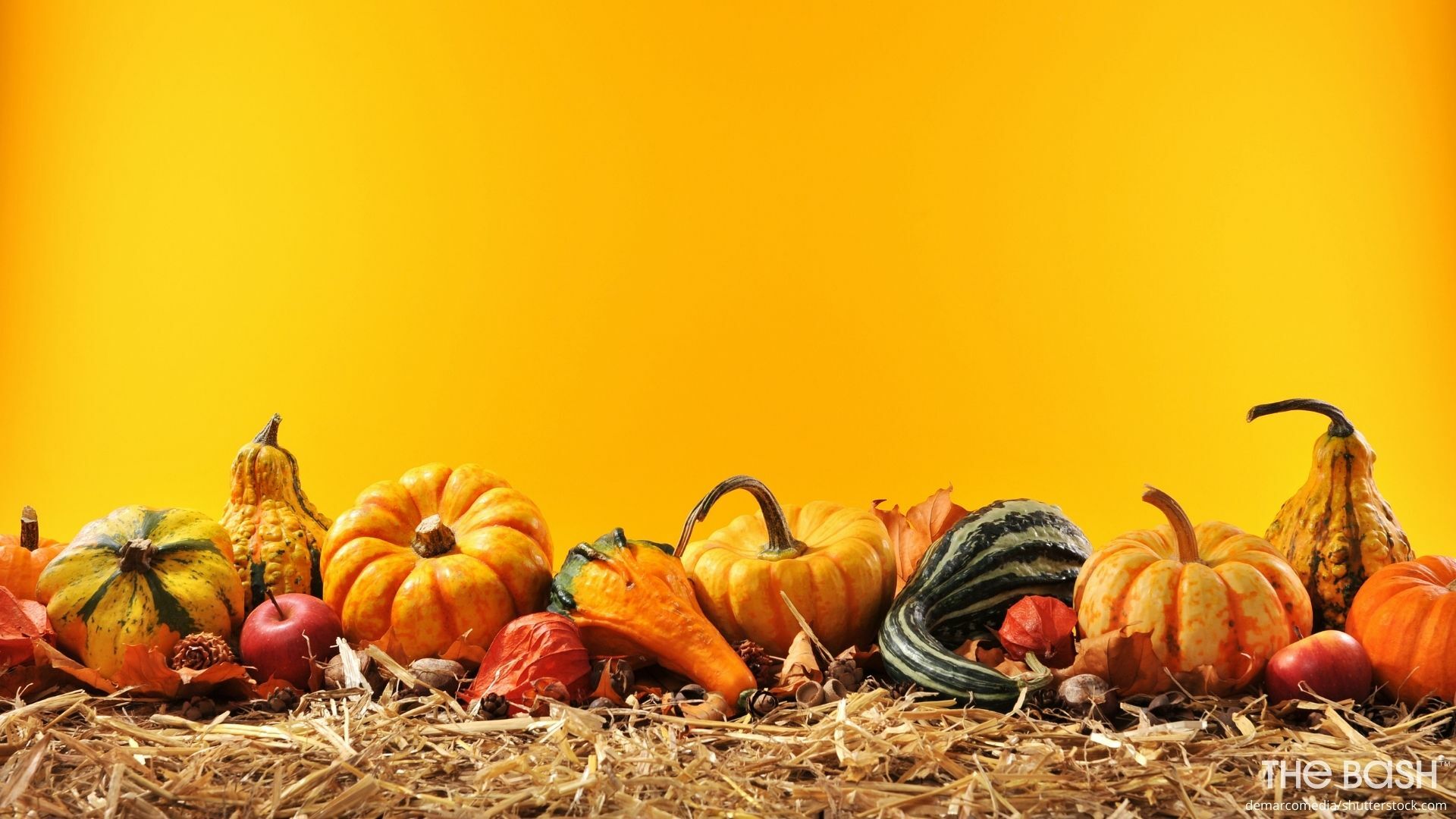 Autumnal Zoom Background for Thanksgiving