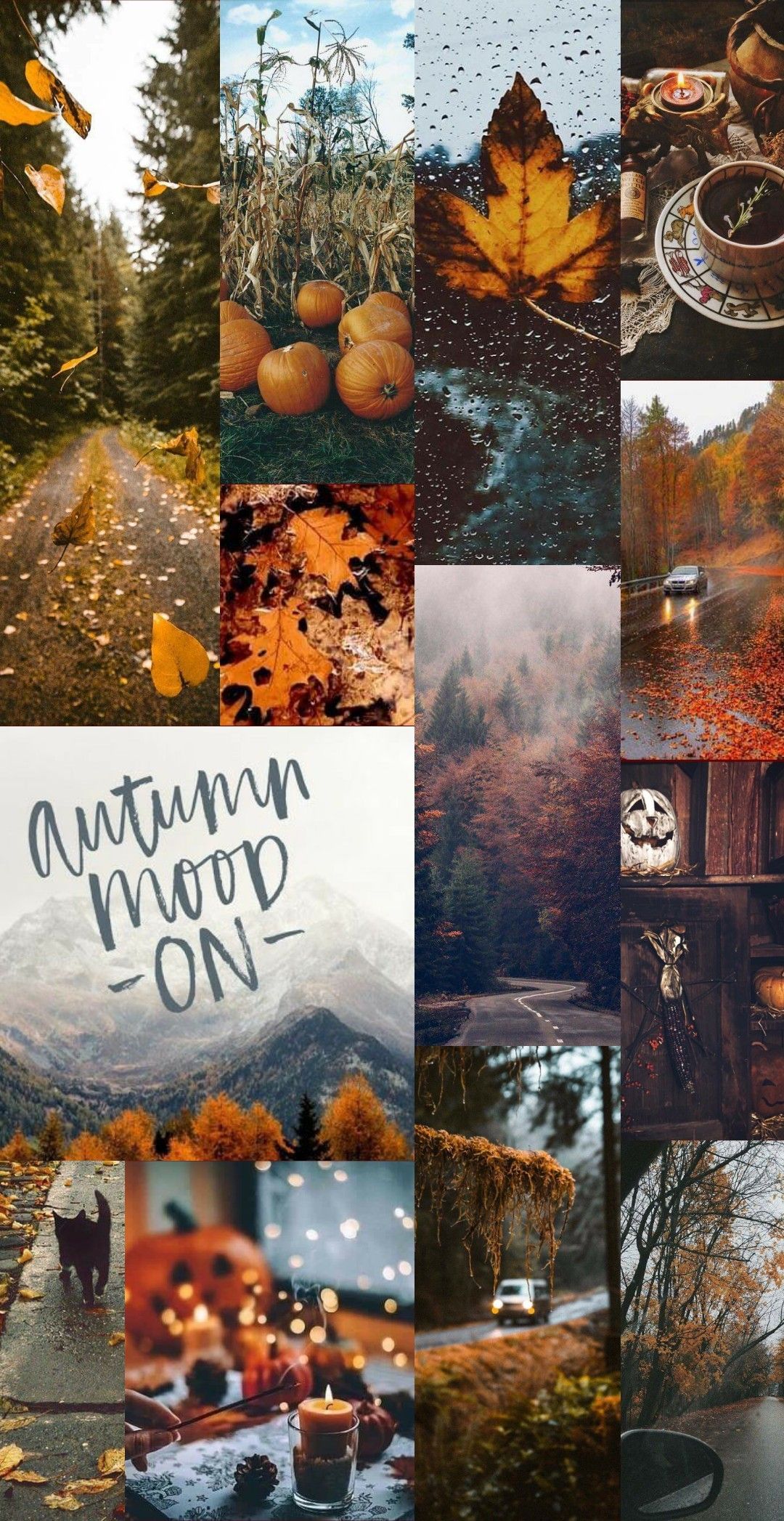 Autumn Aesthetic. Fall wallpaper, iPhone wallpaper fall, Fall season picture