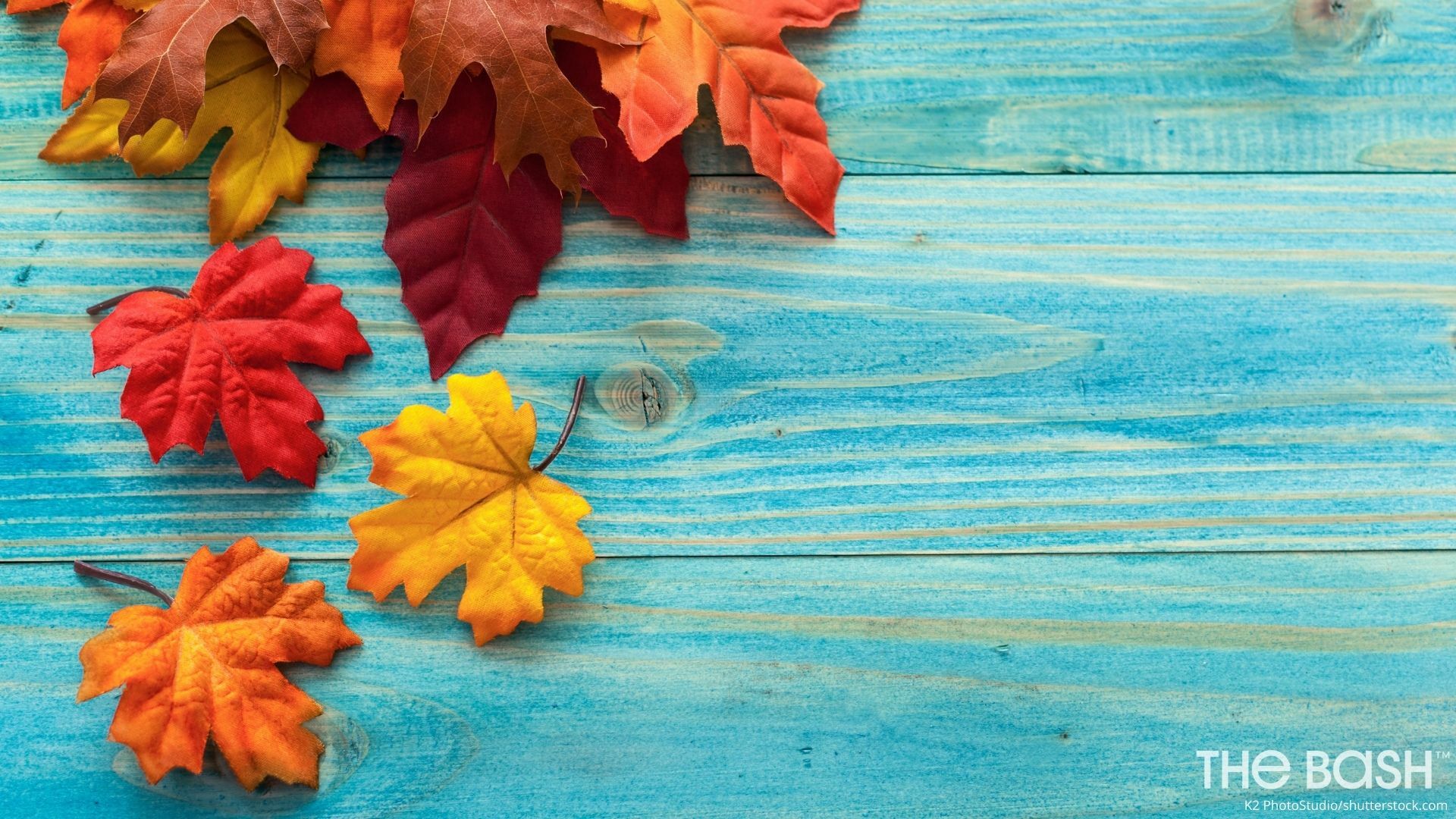 Autumnal Zoom Background for Thanksgiving