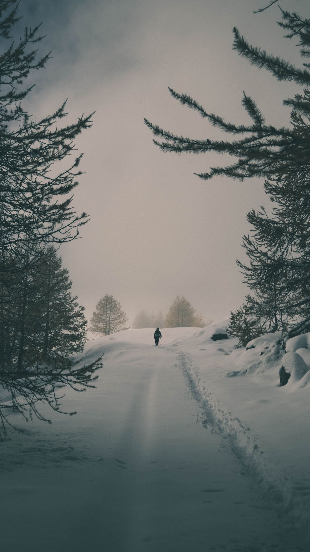 Winter 4k Wallpaper Ultra 4k Winter Background Download