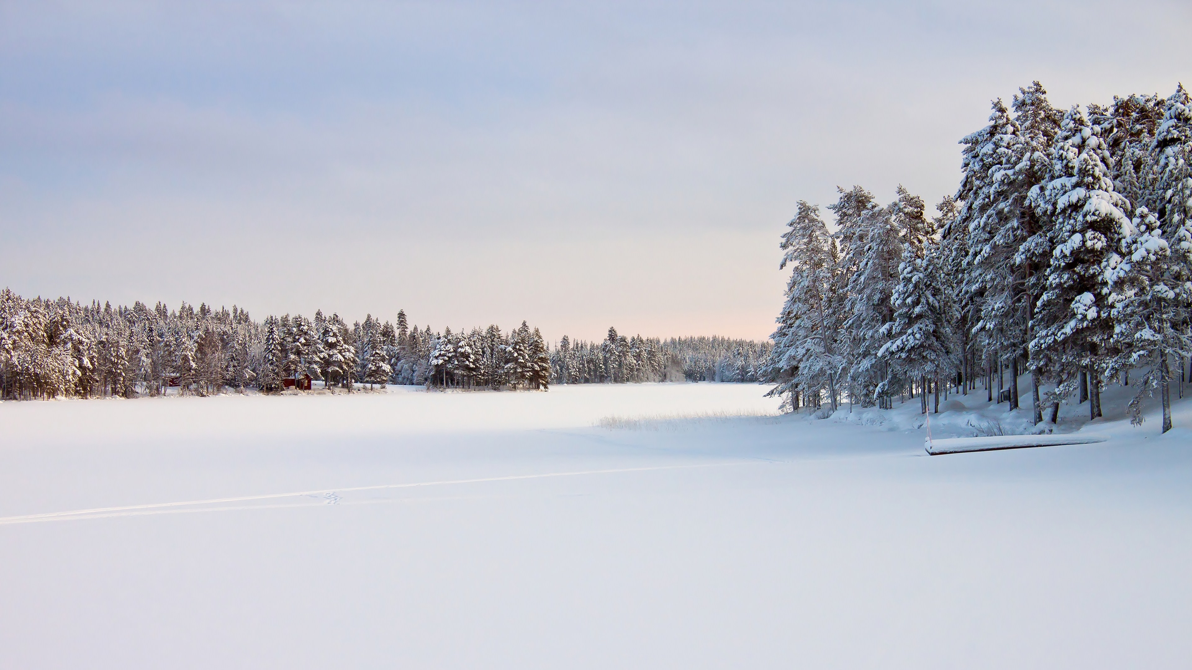 Serene Winter Wonderland: A 4K Ultra HD Nature Wallpaper
