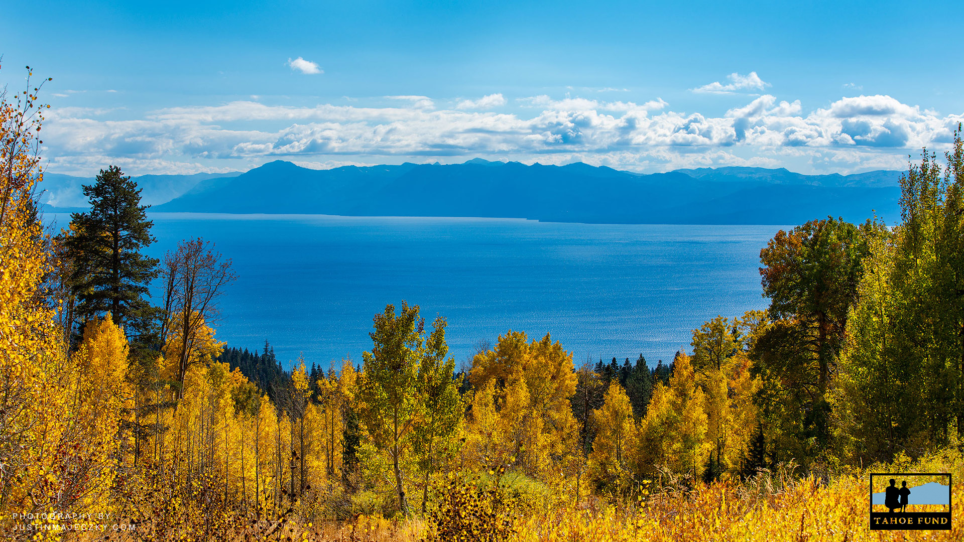 A GIFT FOR YOU: New Tahoe Background for Zoom Conferencing