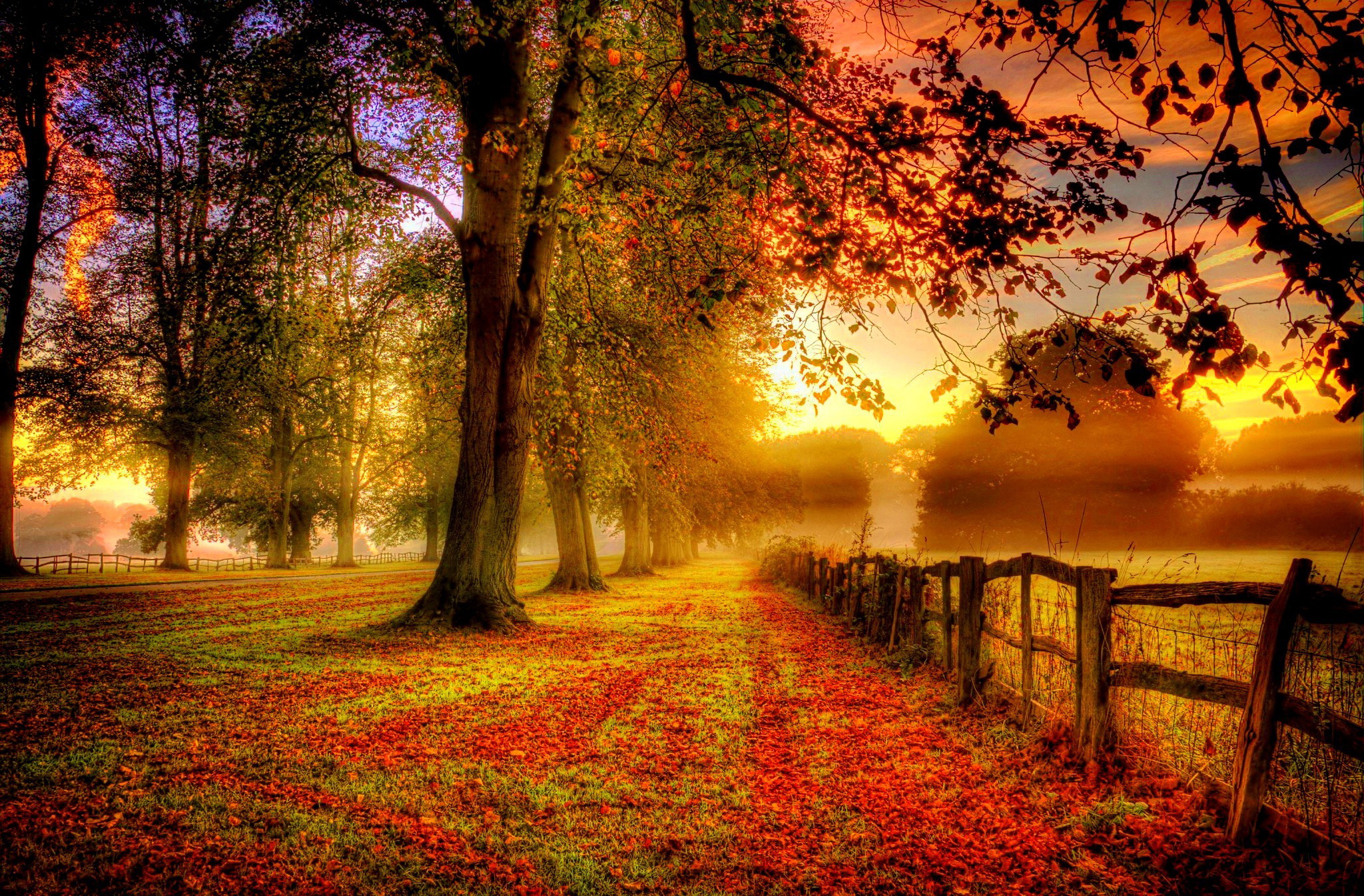 Autumn Sunset Season HD Wallpaper