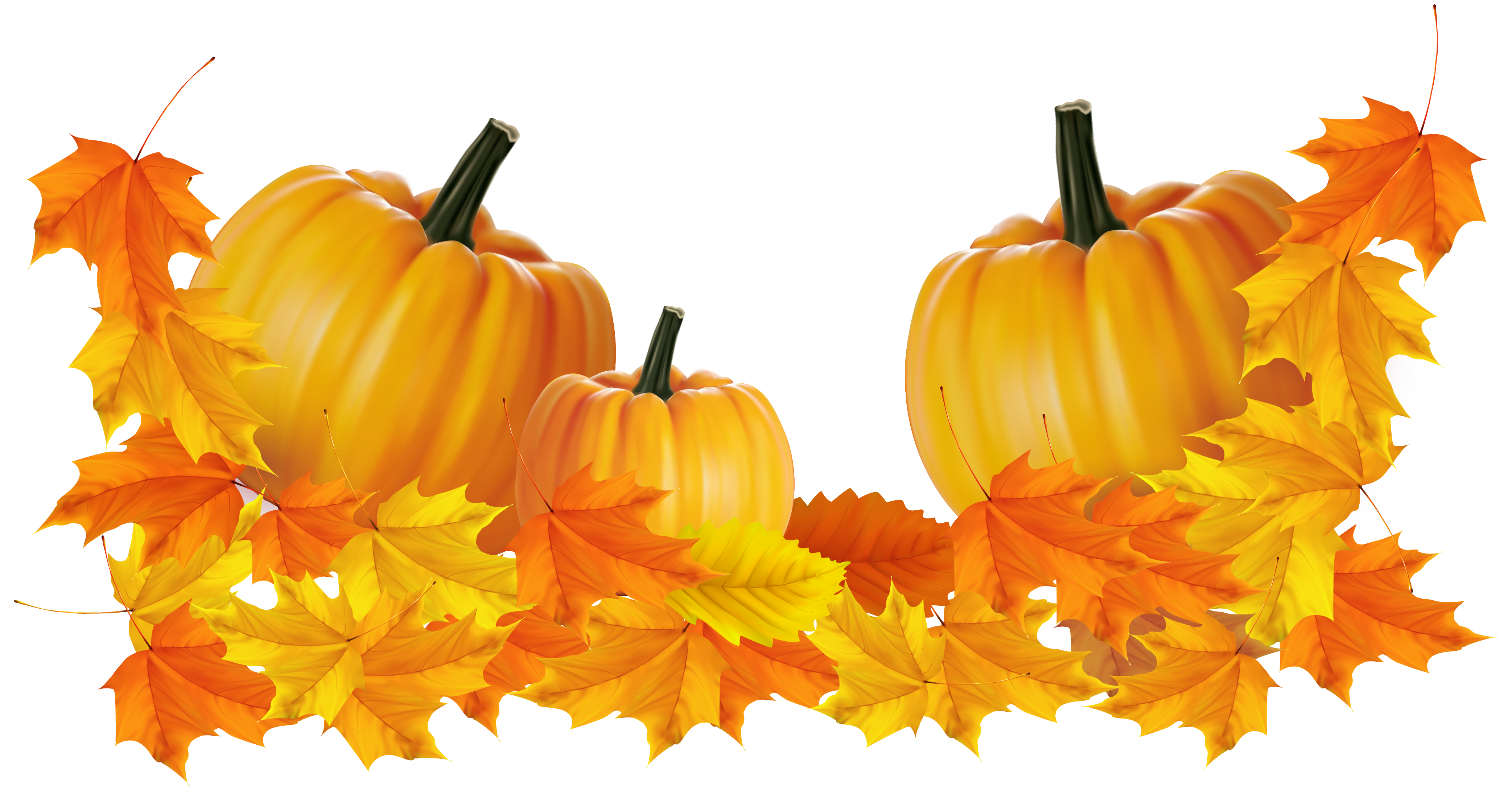 Transparent Thanksgiving Pumpkin Decor Clipart​-Quality Free Image and Transparent PNG Clipart