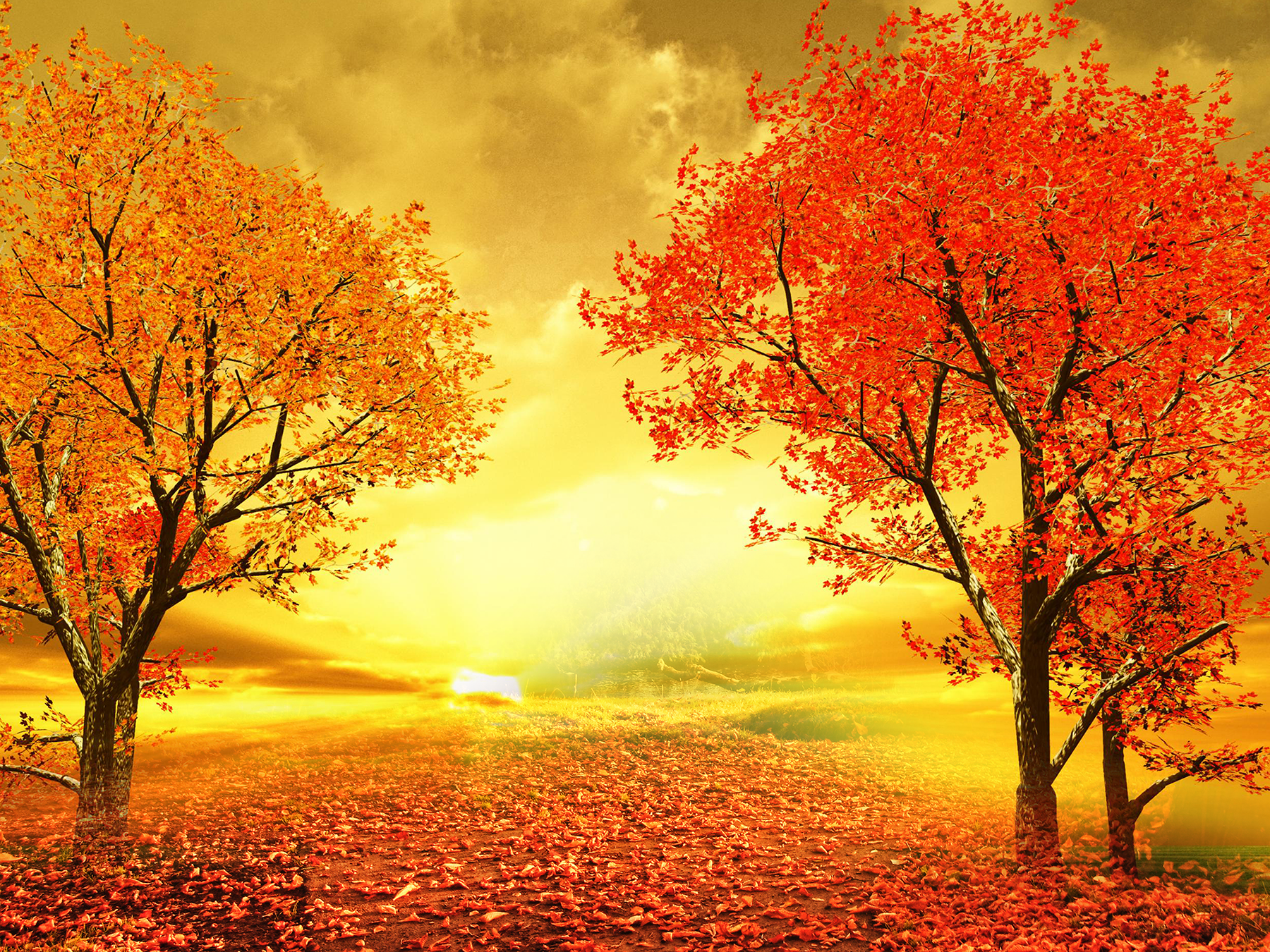 Autumn Sunset Road