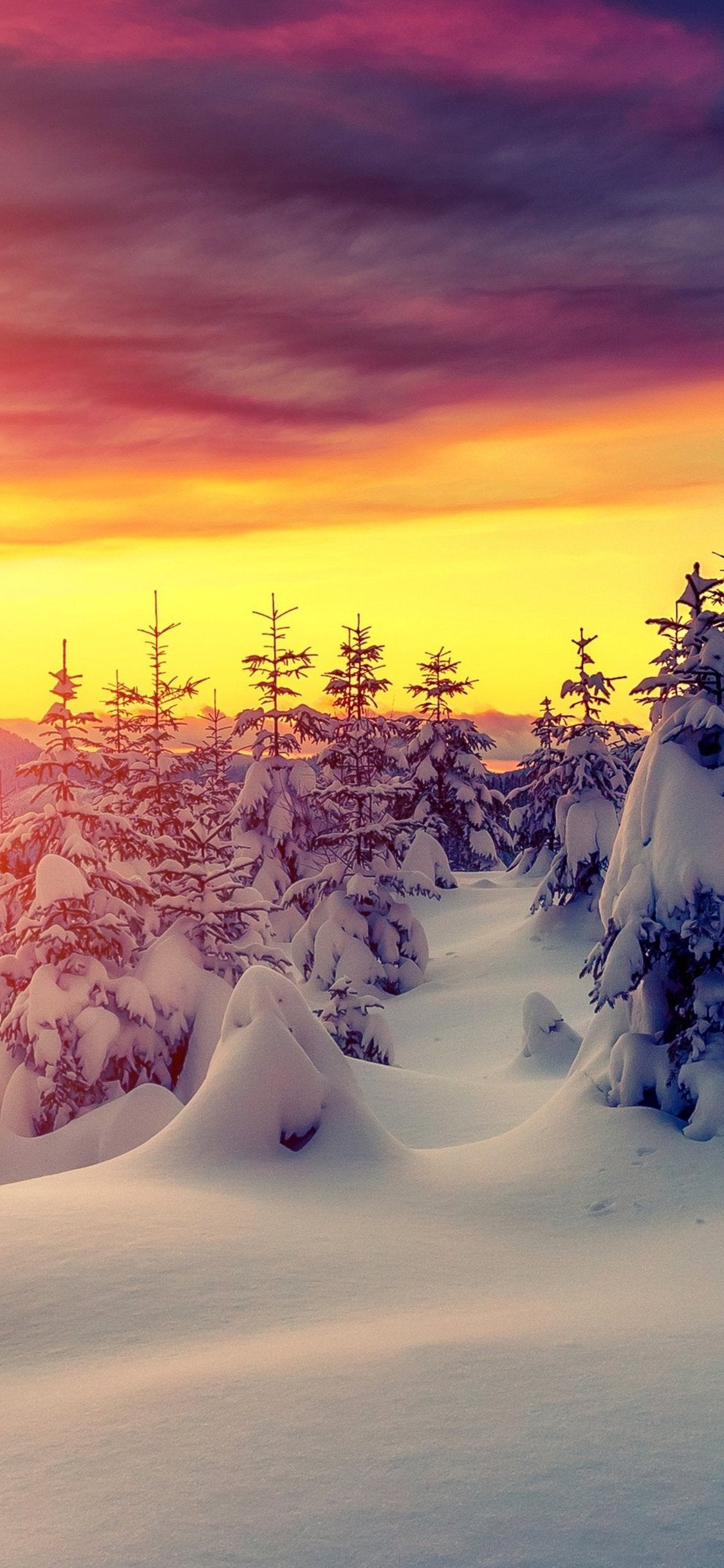 4K Winter Wallpaper for Desktop, iPad & iPhone