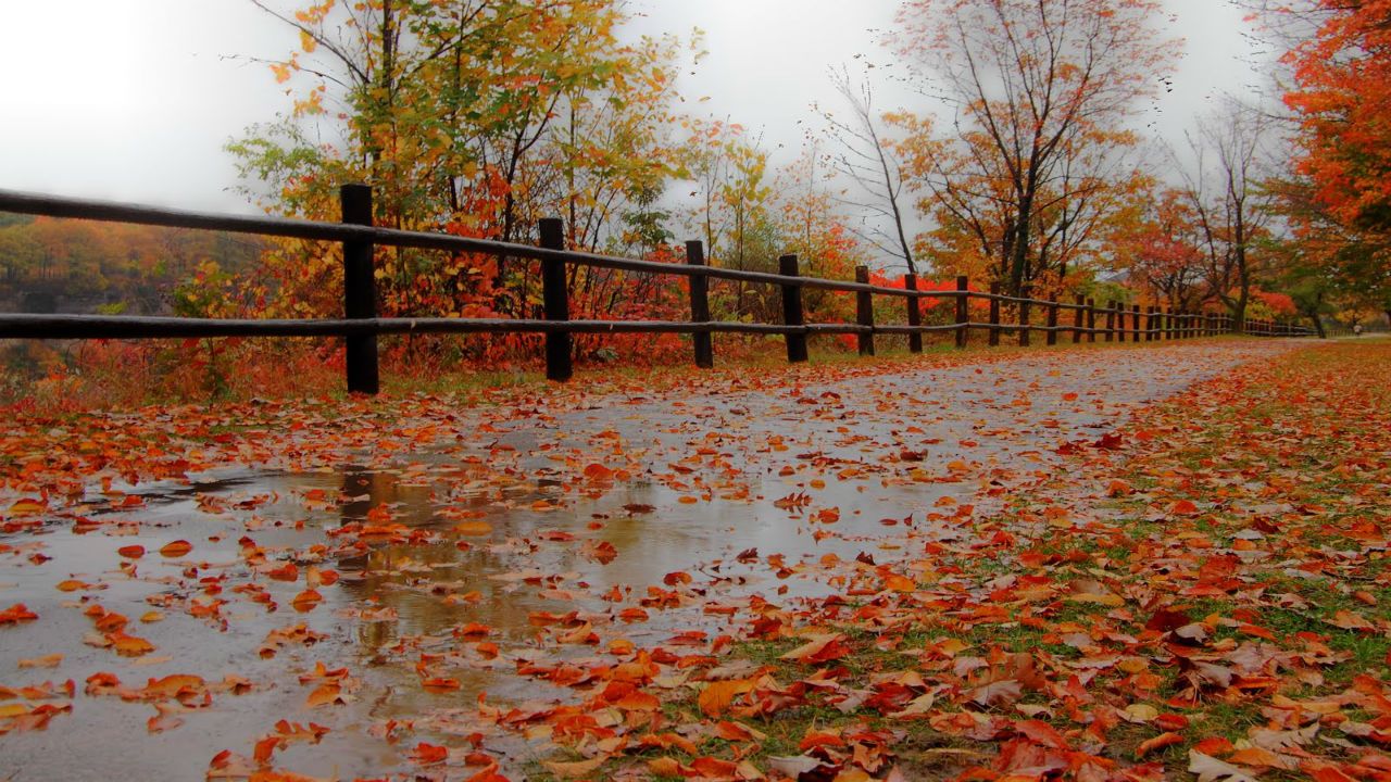 Dreary Wednesday brings autumn warmth to an abrupt end