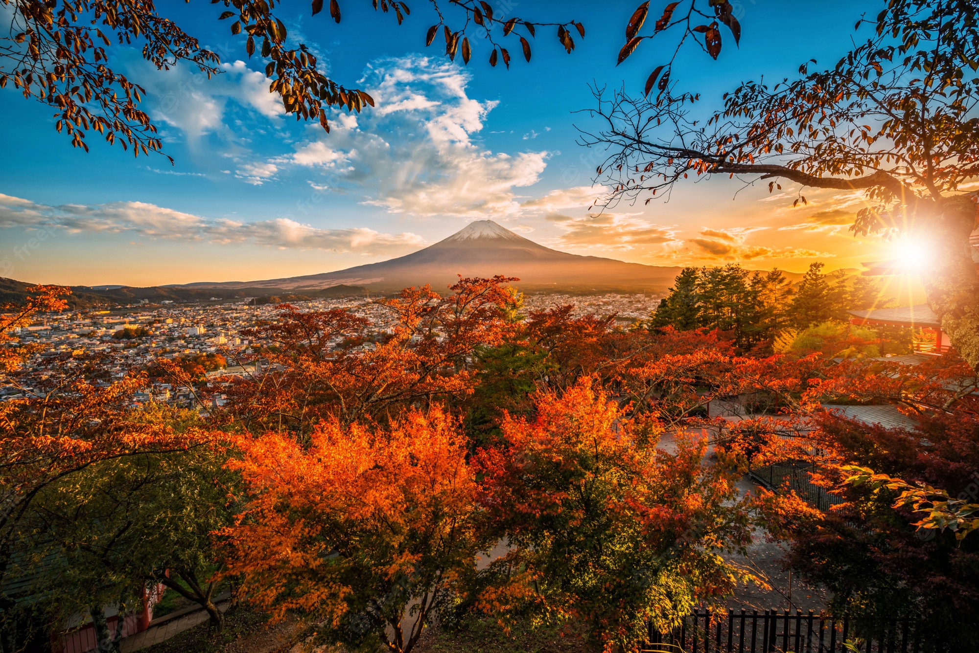 Premium Photo. Mt. fuji with red leaf in the autumn on sunset at fujiyoshida, japan