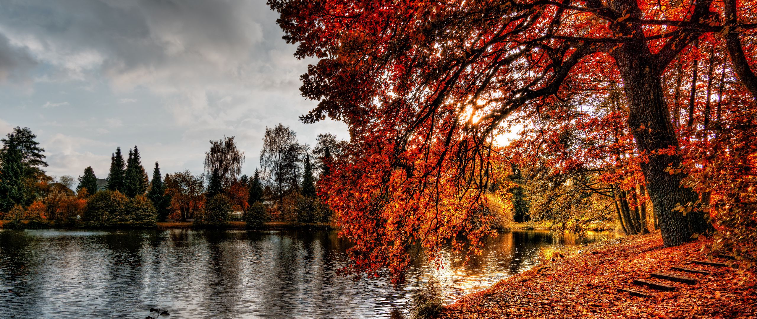 Download wallpaper 2560x1080 autumn, park, foliage, lake dual wide 1080p HD background