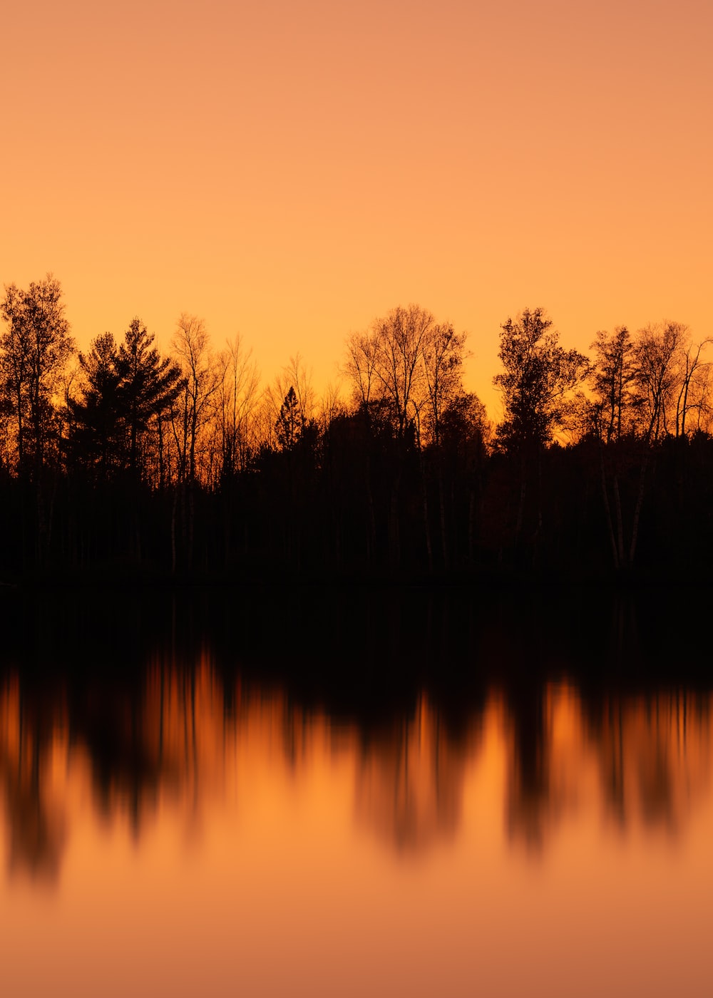 silhouette of trees near body of water during sunset photo