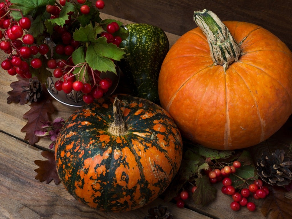 Thanksgiving Garden Decorations: Growing Fall Decorations For Thanksgiving