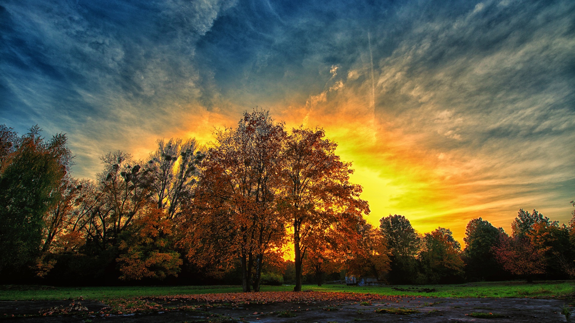 Perfect Autumn Sunset & Trees desktop PC and Mac wallpaper