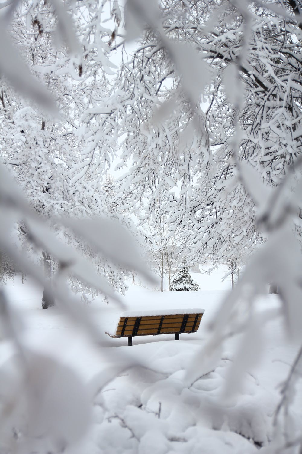 Aesthetic Winter Iphone posted by Ryan Sellers, cozy winter iphone HD phone  wallpaper | Pxfuel