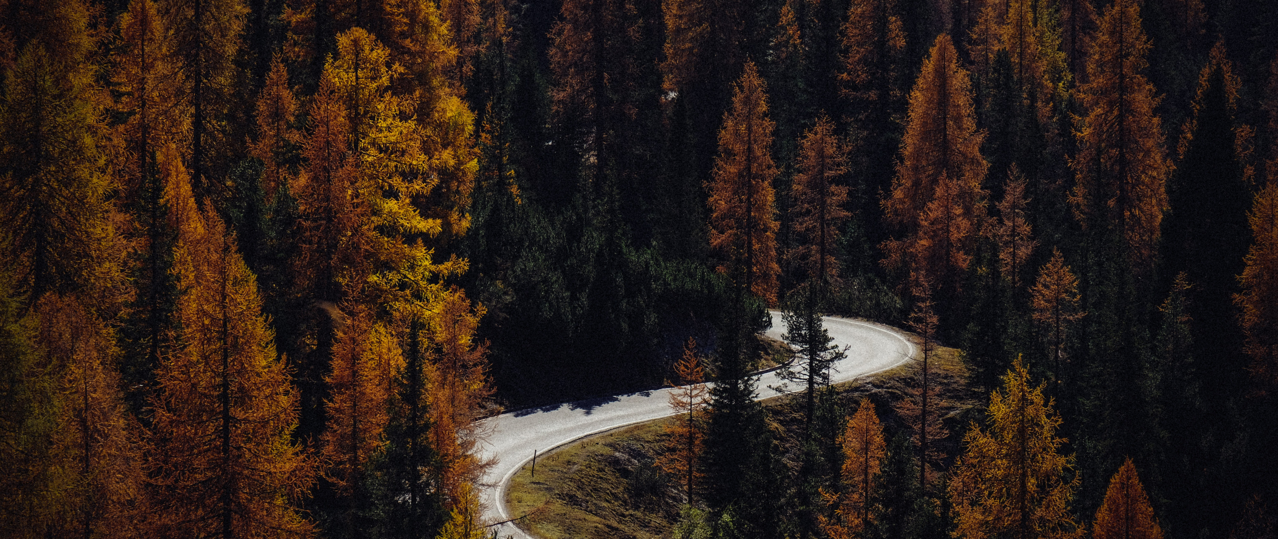 Download Autumn, road, turns, forest, nature wallpaper, 2560x1080, Dual Wide, Widescreen