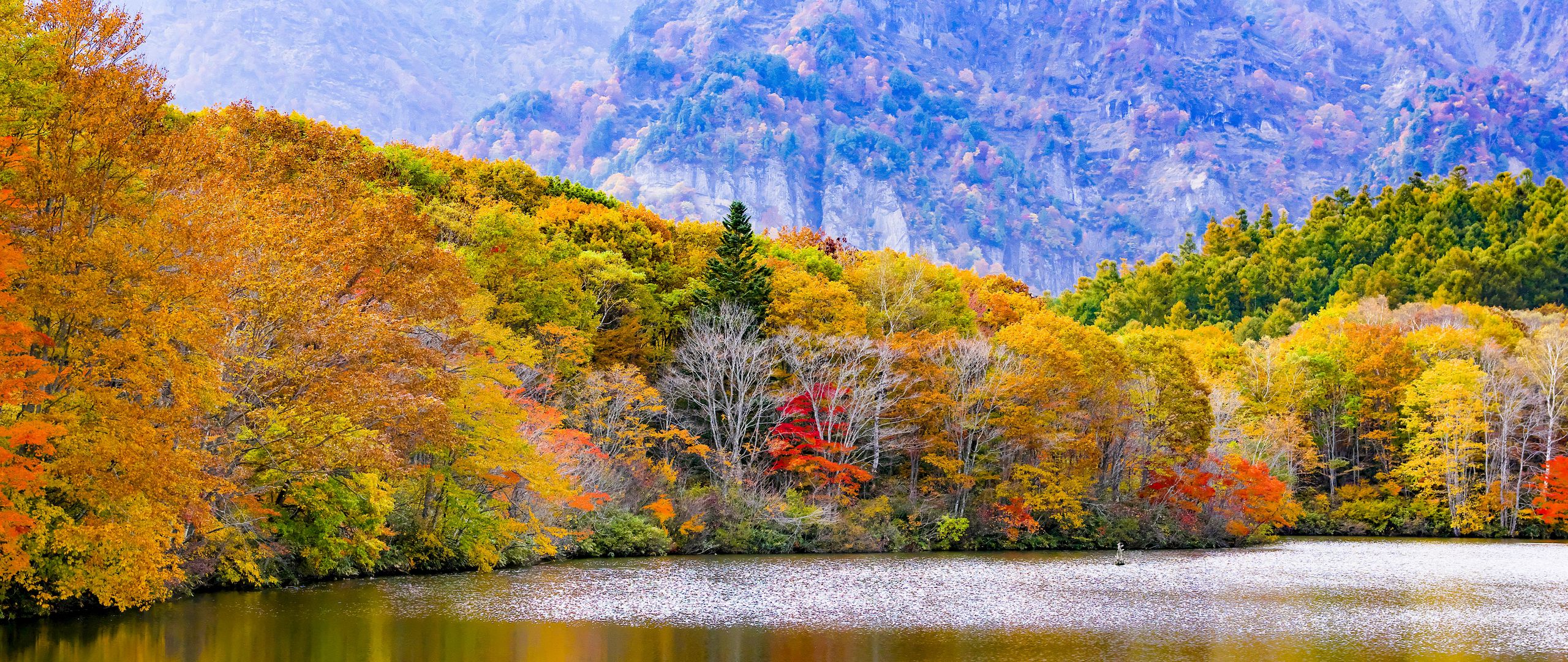 Download wallpaper 2560x1080 japan, togakushi, lake, mountains, trees, autumn dual wide 1080p HD background