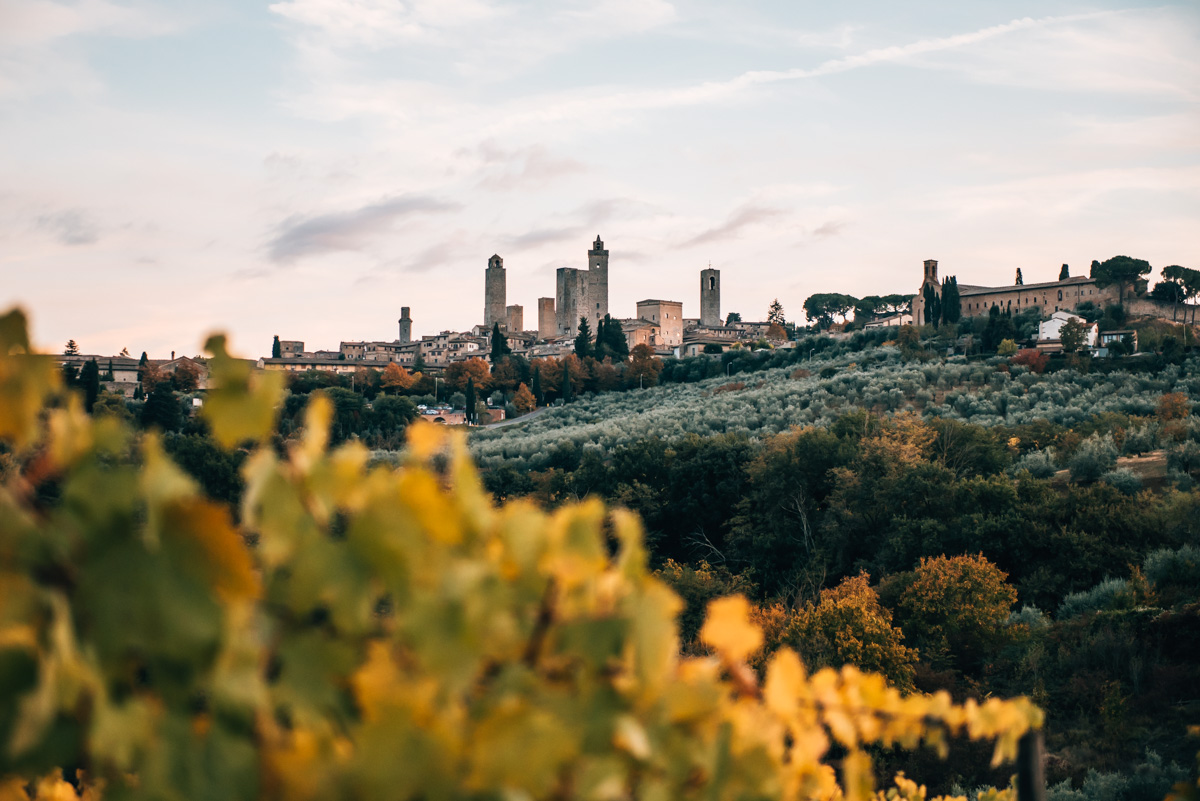 Best of San Gimignano: The Ultimate Travel Guide & Top Things to Do