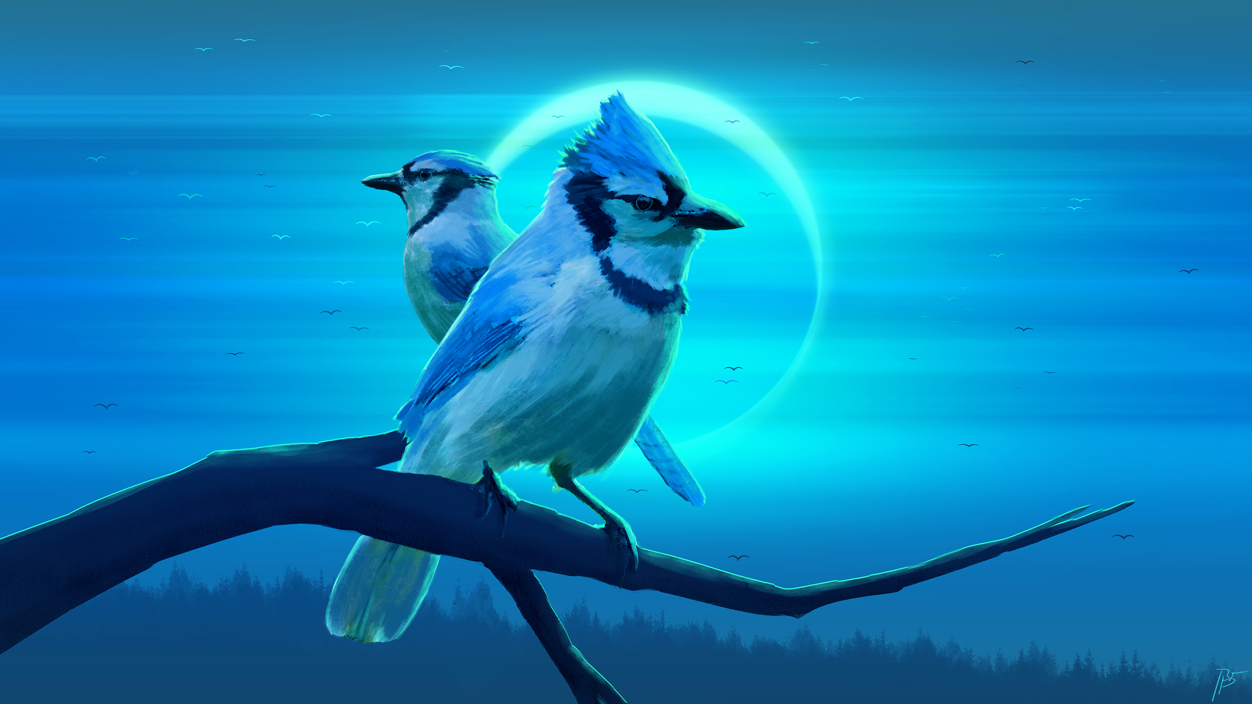 JoeyJazz Nature Birds Eclipse Bluejay Forest Branch Wallpaper:2560x1440