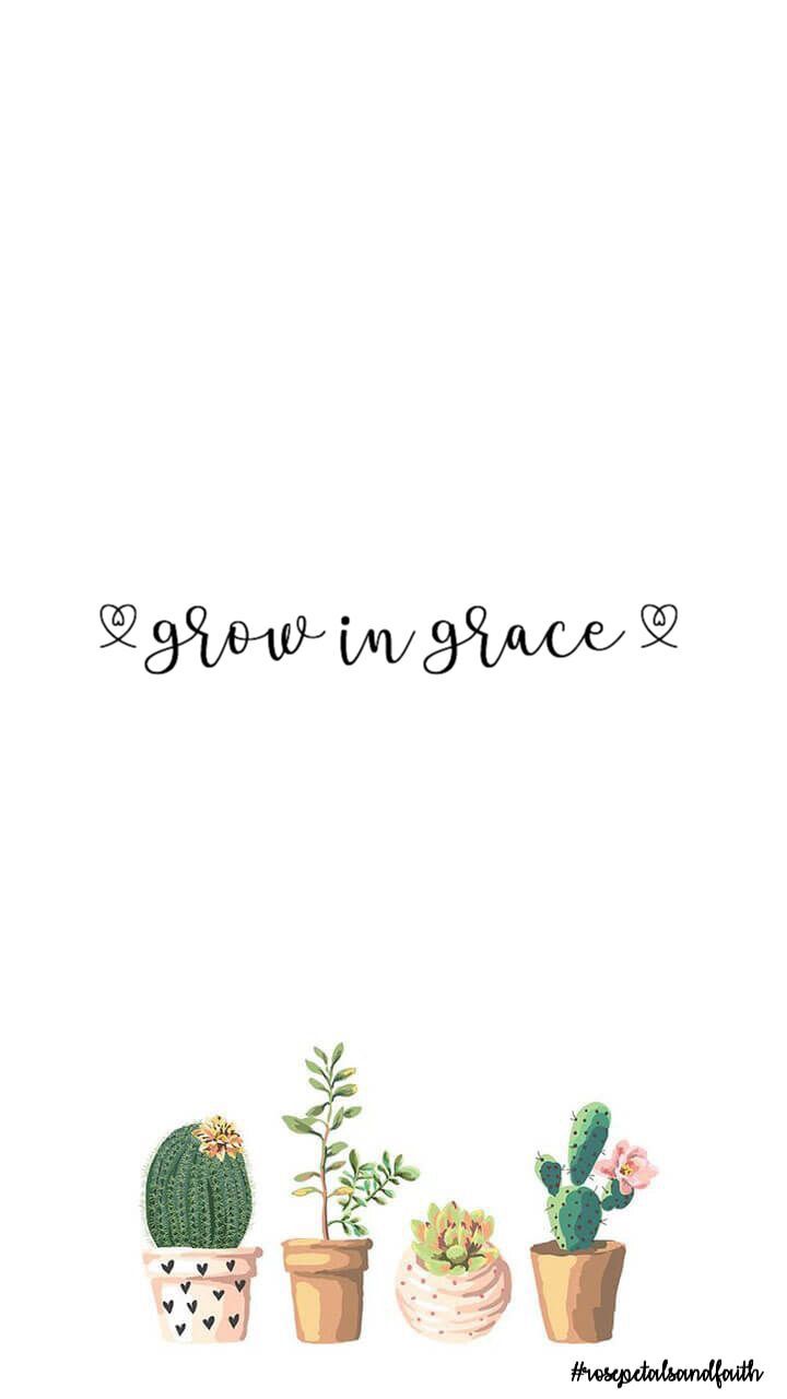 Cute Plant Wallpaper