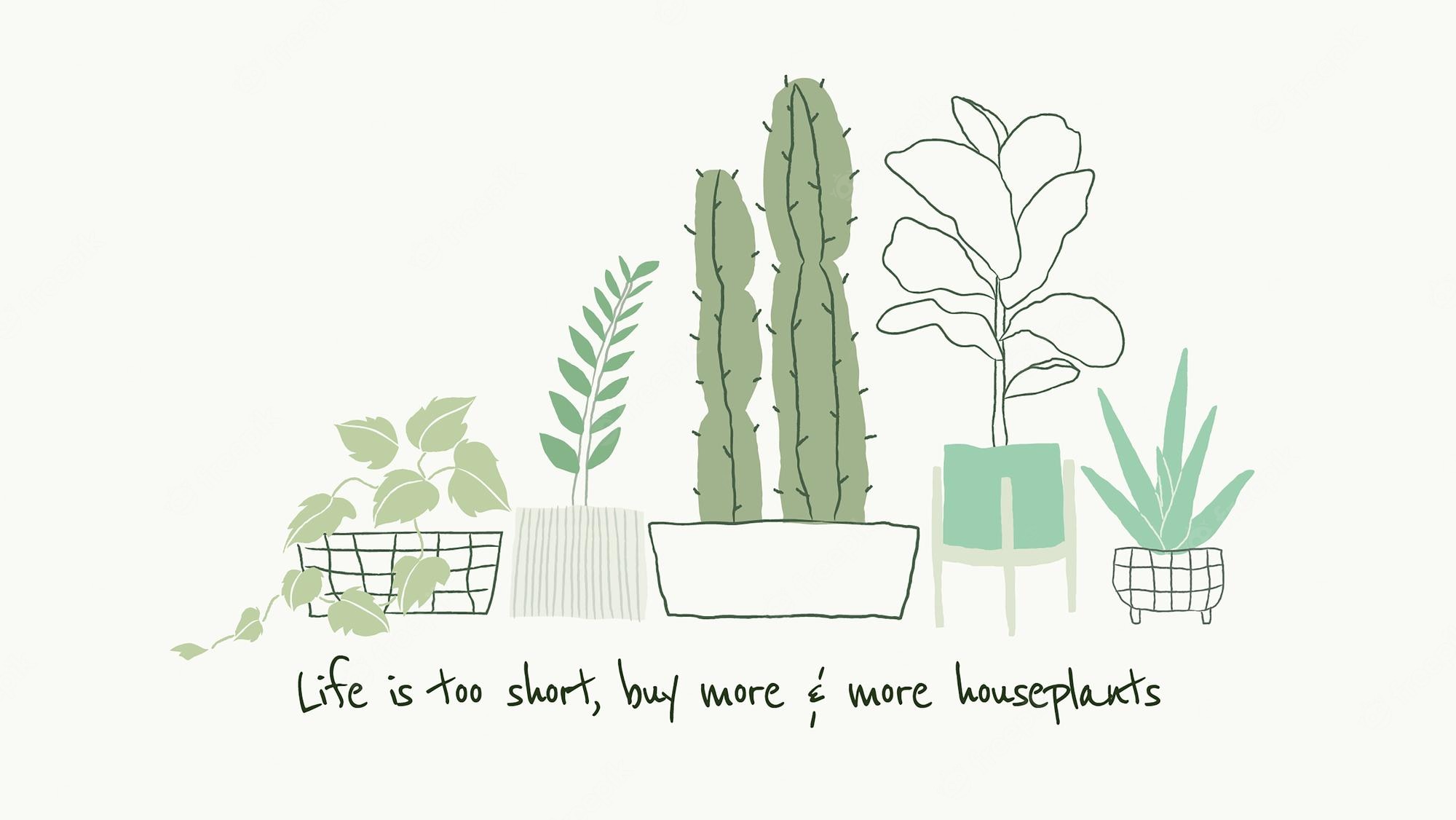 Indoor plants Image. Free Vectors, & PSD
