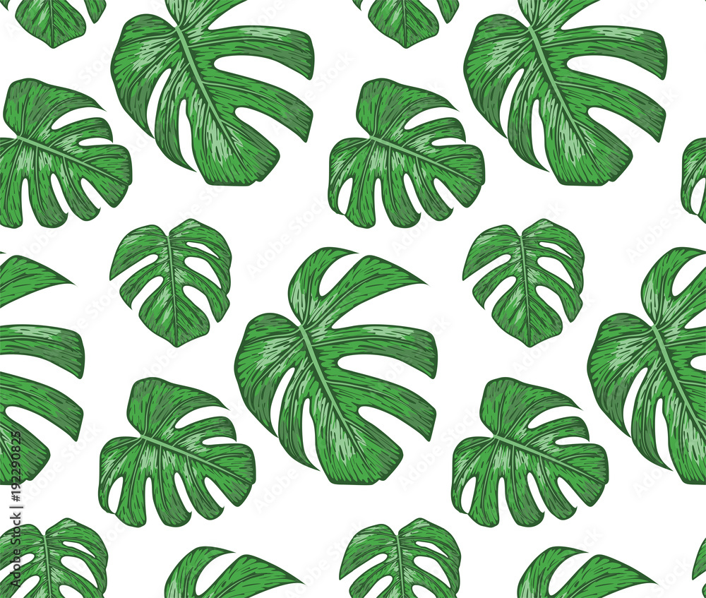 Seamless pattern with philodendron plants, green leaves cute wallpaper. Vector elegant print isolated on white background Stock Vector