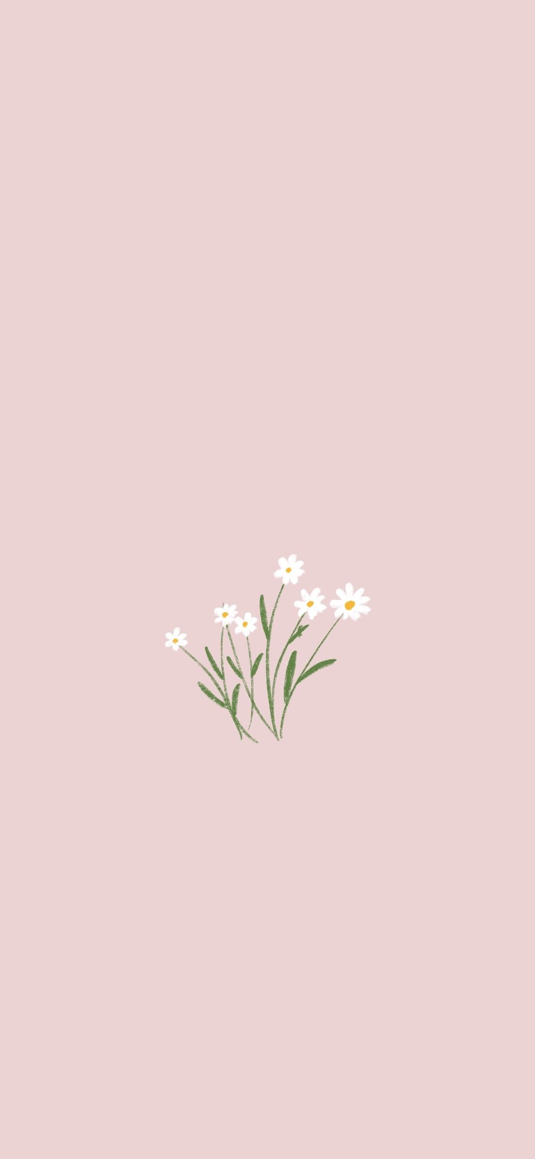 flowers. iPhone wallpaper plants, Floral wallpaper iphone, Minimalist wallpaper phone