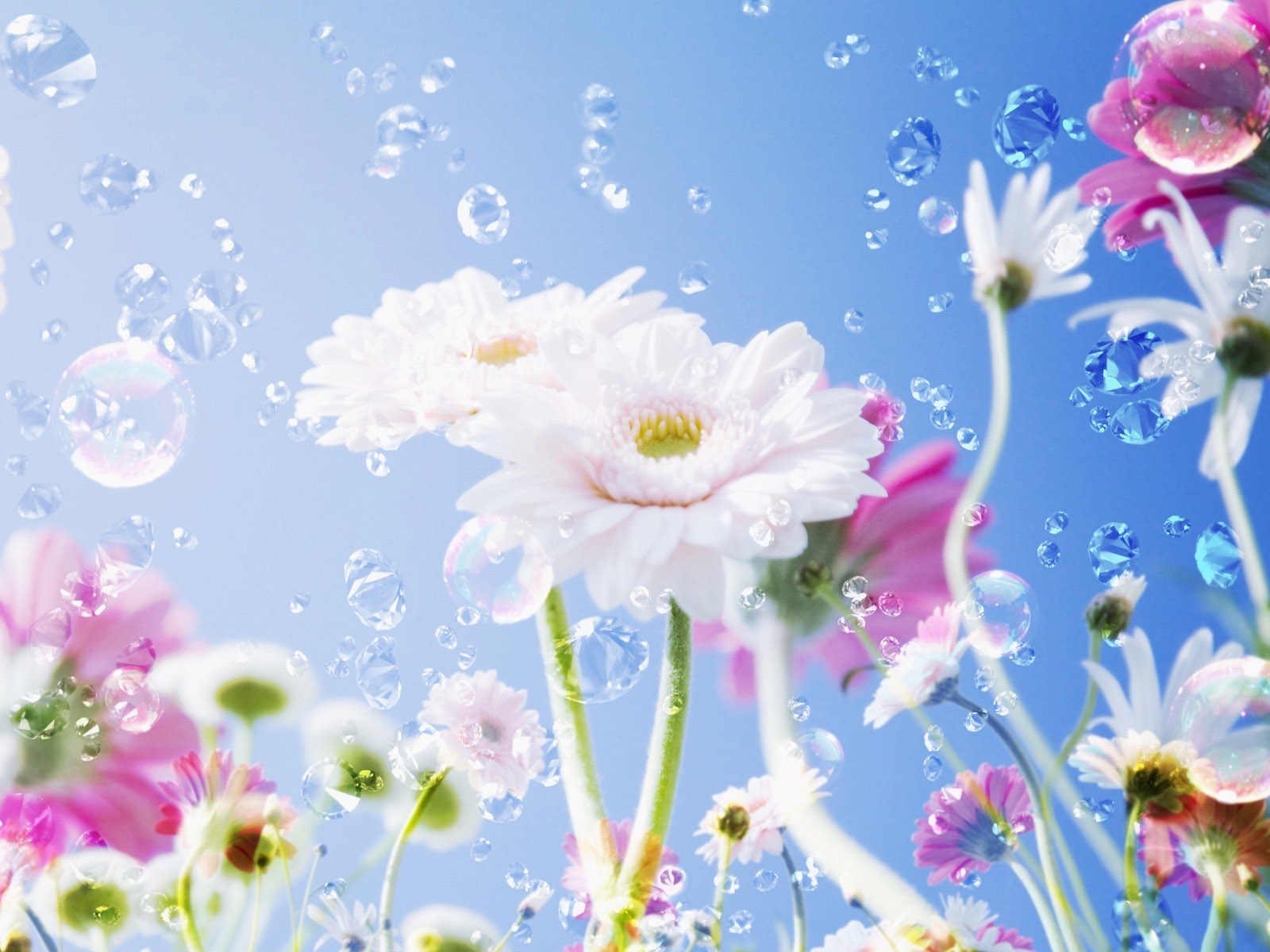 Download Plants wallpaper for mobile phone, free Plants HD picture