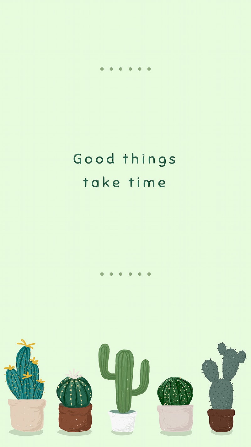 Cactus Wallpaper Phone Wallpaper