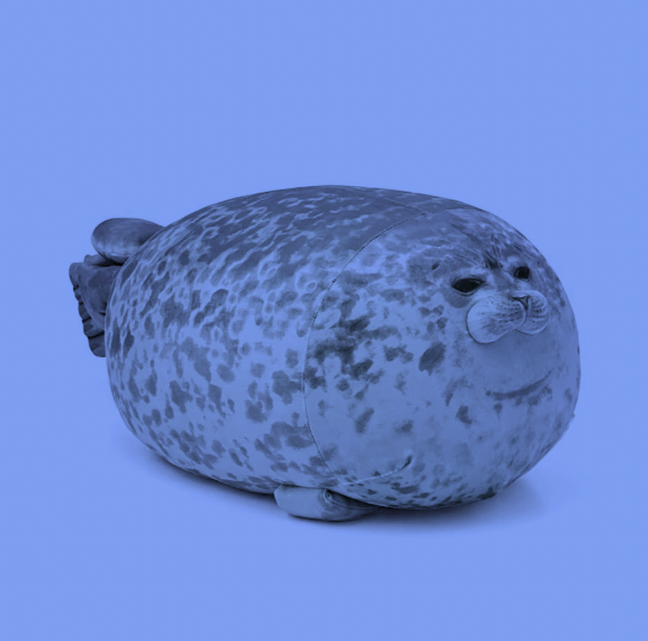 Angry Chonky Seal Pillow & Chonky Fat Seal Plush