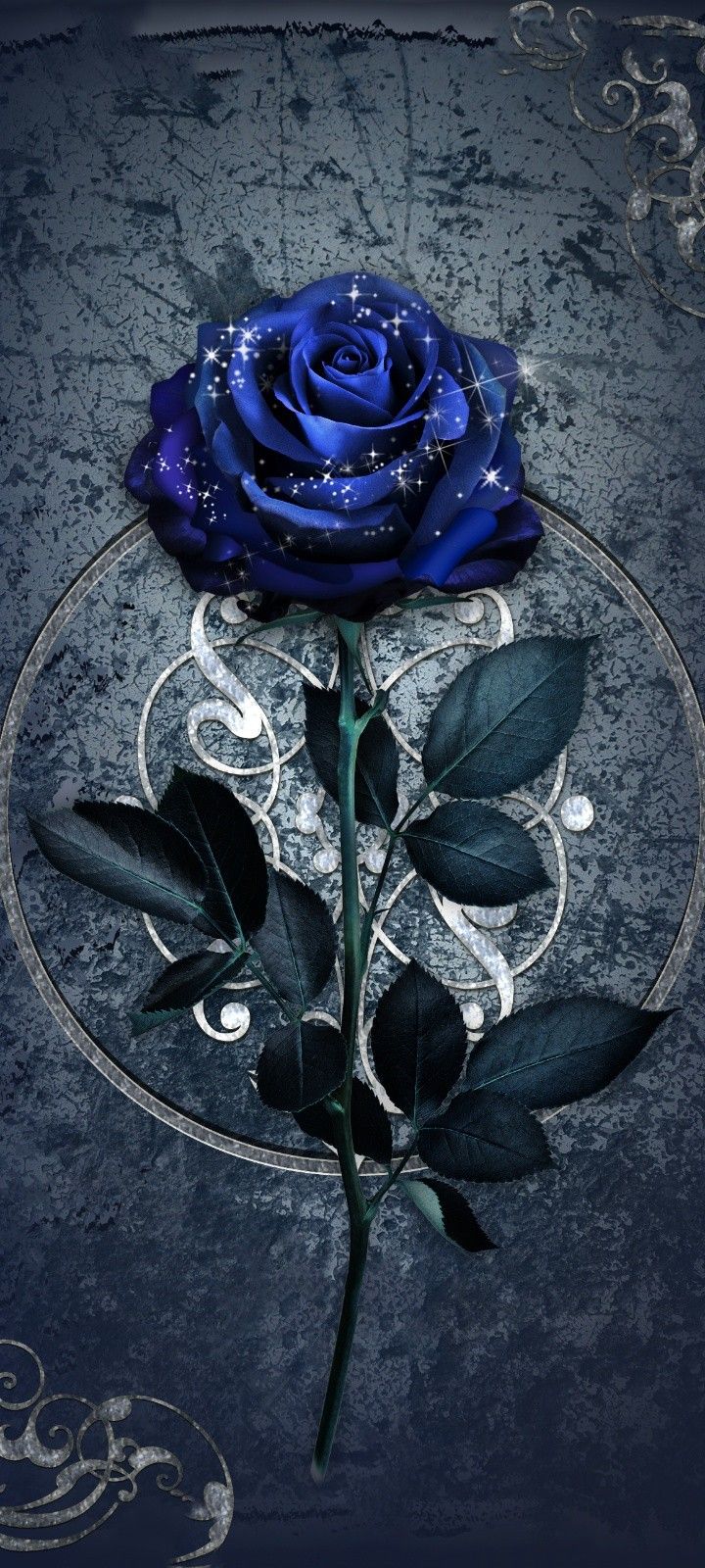 Blue Chic Rose