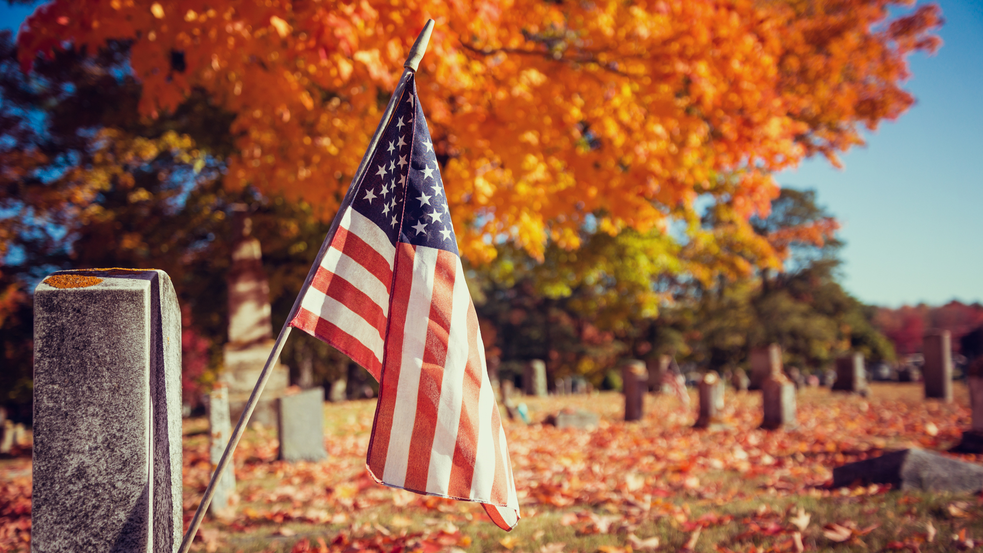Which Banks Are Closed On Veteran's Day?