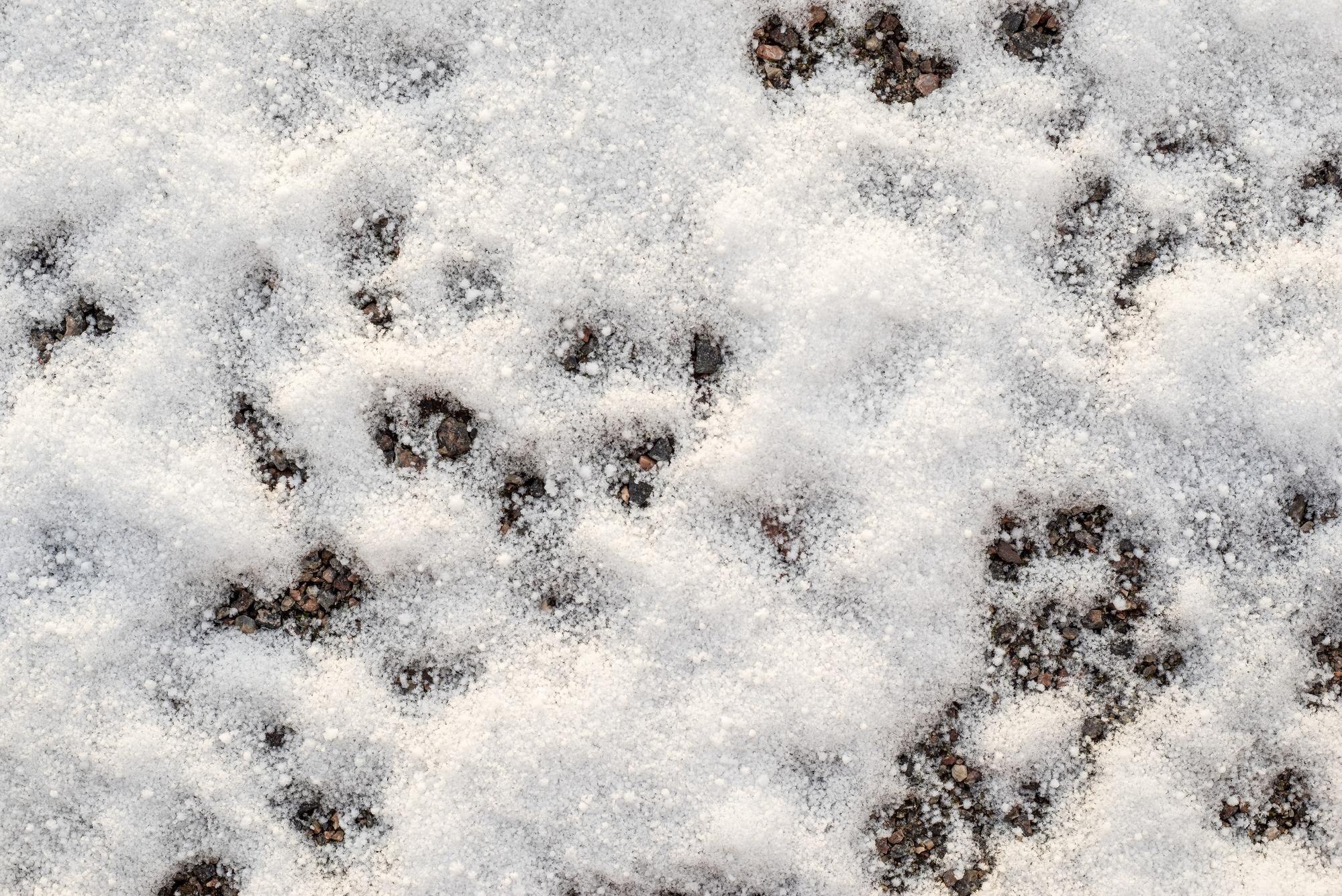 Premium Photo. Abstract bumpy texture of a winter snowdrift for natural background and for wallpaper